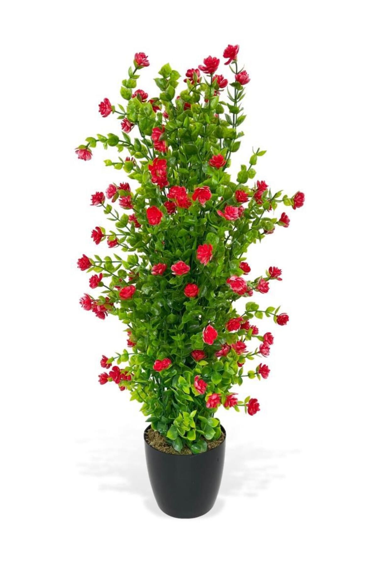 Nettenevime Yapay Çiçek Siyah Saksıda Kırmızı Mineli Şimşir Ağacı 55cm