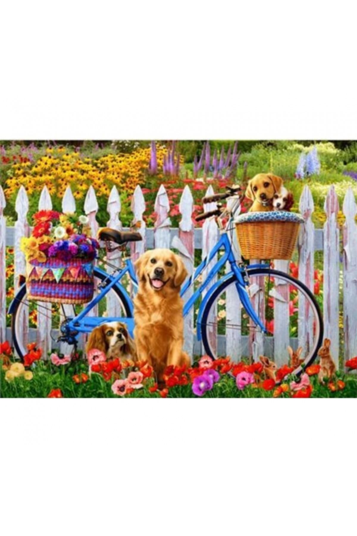 Simbastore Canvas Sevimli Köpekler ve Bisiklet Sayılarla Boyama Seti  Kasnaklı 100 x 140 cm