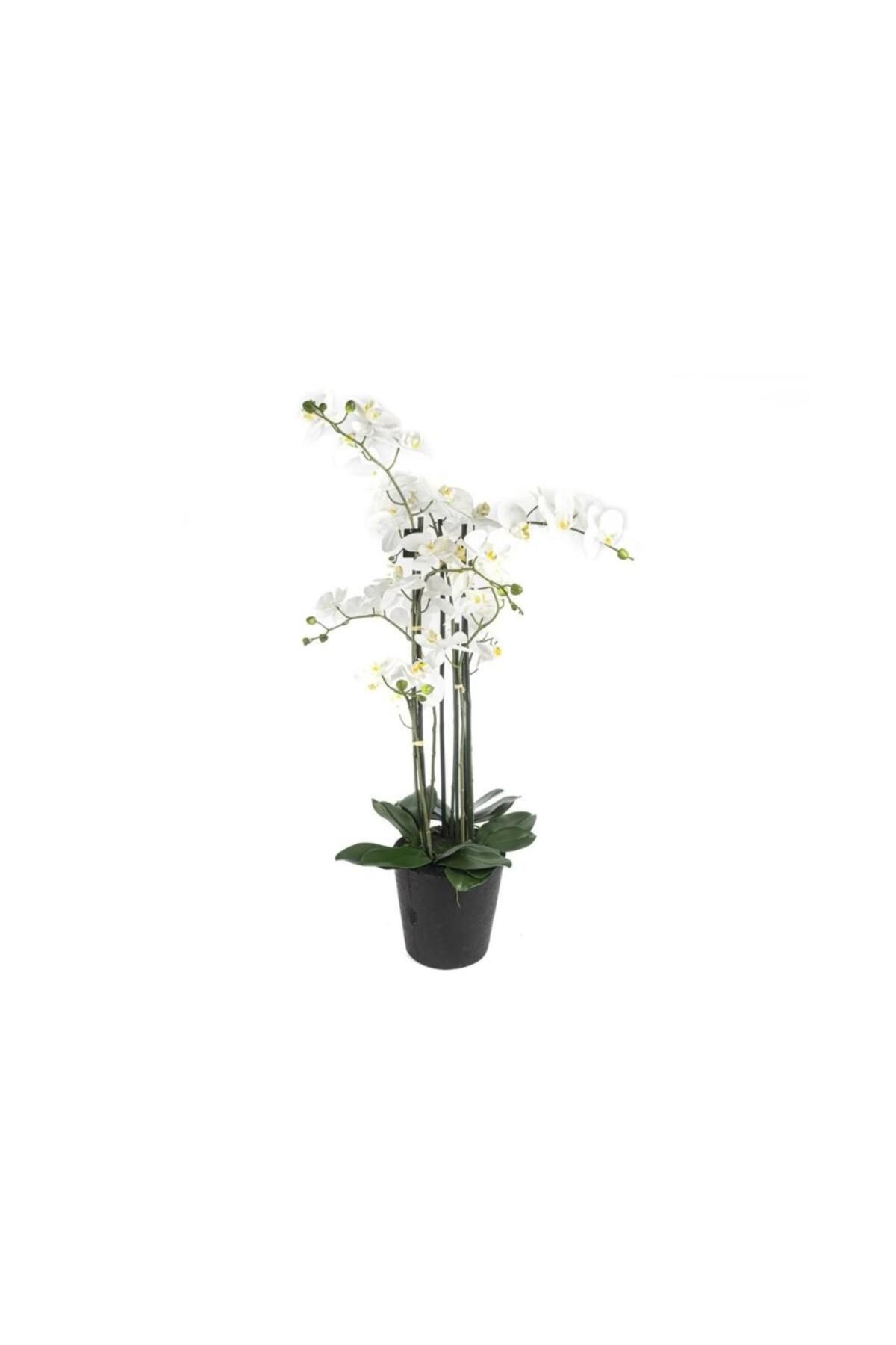 Mikasa Moor Beyaz 8li Yapay Orkide 110 cm