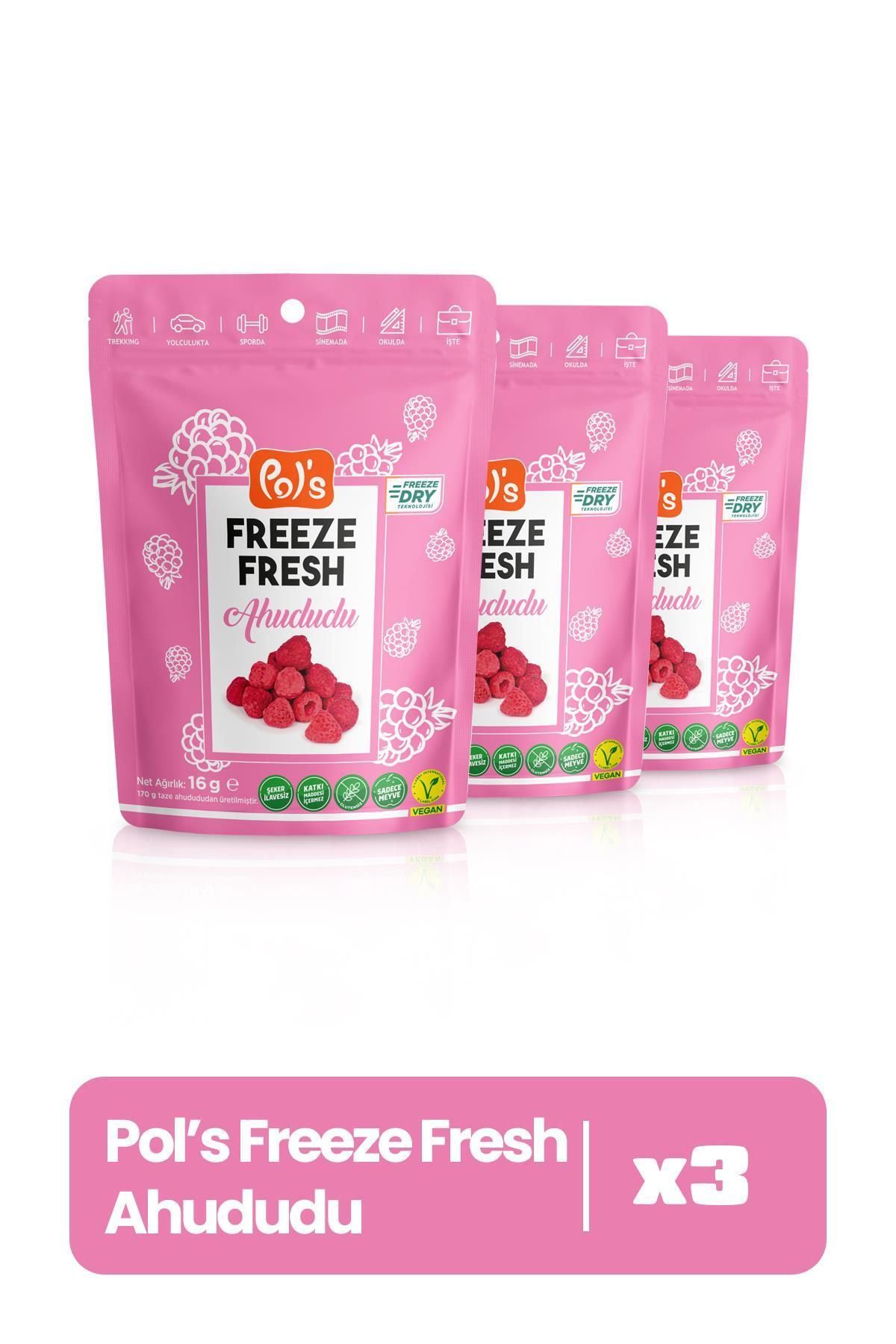 Pol's Freeze Fresh Ahududu 16 G X 3 Adet Freeze Dry Dondurularak Kurutulmuş Meyve