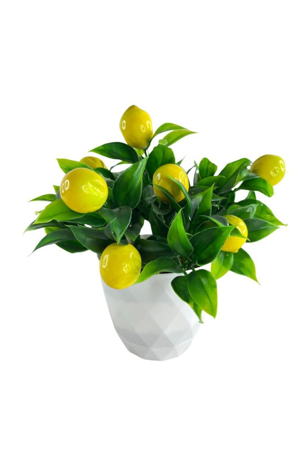 Nettenevime Yapay Çiçek Beyaz Saksıda Limon Demeti Dekoratif Masa Çiçeği