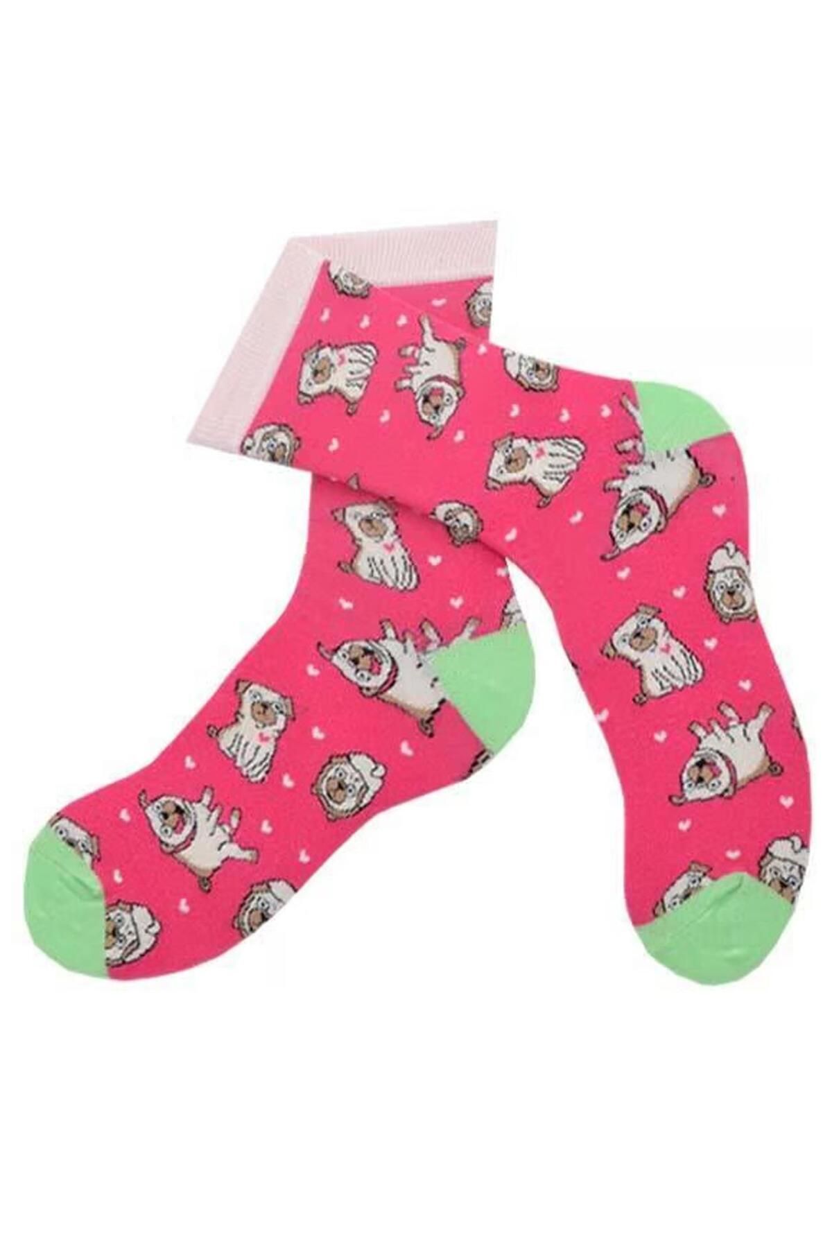 Flora Bulldog Köpek Desenli Çorap Erkek Uzun Çorap Clb