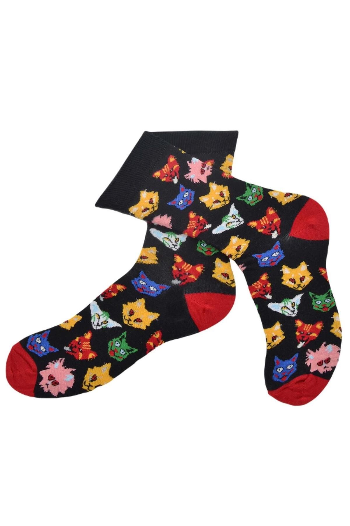 Flora Kedi Köpek Desenli Çorap Erkek Uzun Çorap Clb