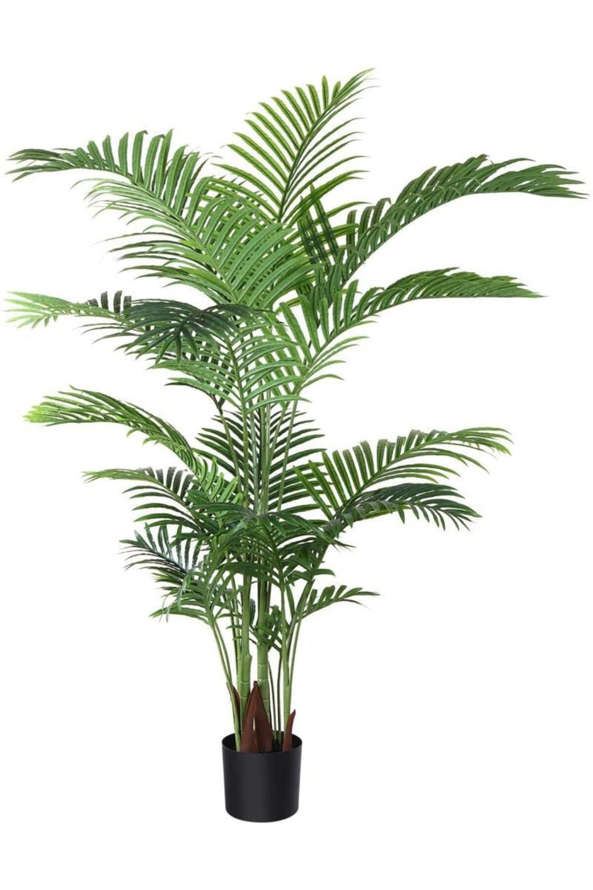 Nettenevime Yapay Ağaç Areka Ağacı Palmiye Ağacı Salon Bitkisi 195cm 21yaprak