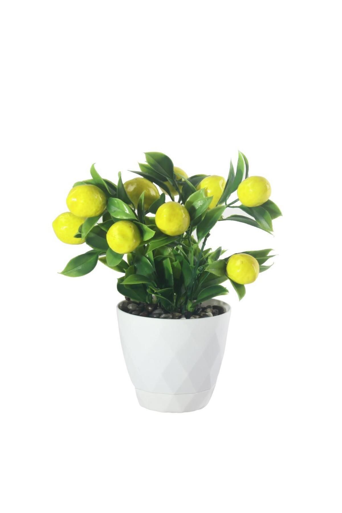 Nettenevime Yapay Çiçek Limon Ağacı Beyaz Saksıda Ve Dekoratif