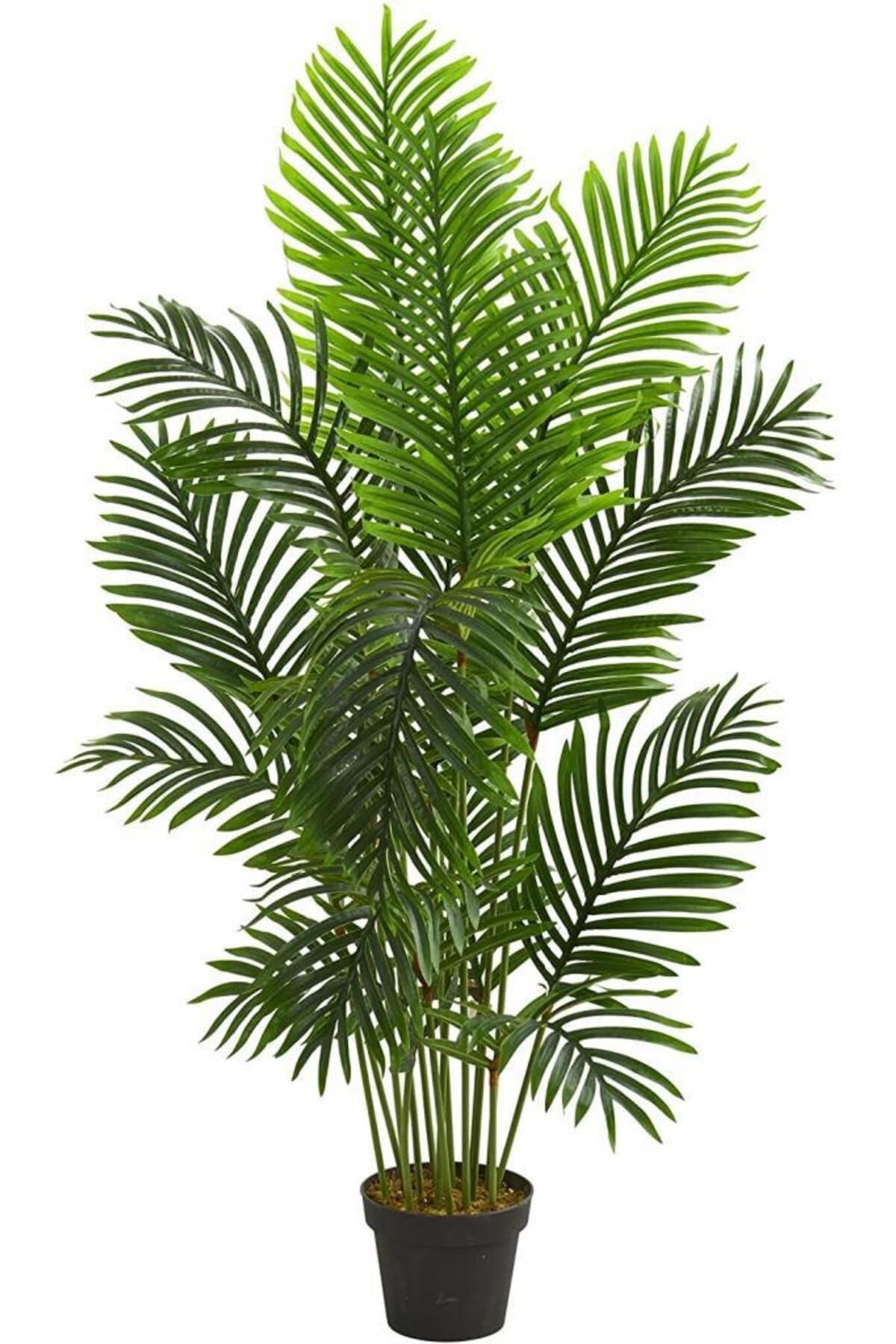 Nettenevime Yapay Ağaç Areka Ağacı Palmiye Ağacı Salon Bitkisi 140cm 11 Yaprak Siyah Saksılı