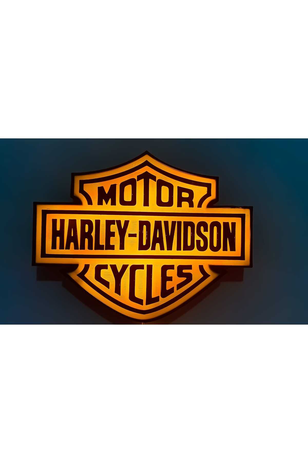 NetWork Mühendislik Harley Davidsn Motorsiklet LED'li Ambiyans
