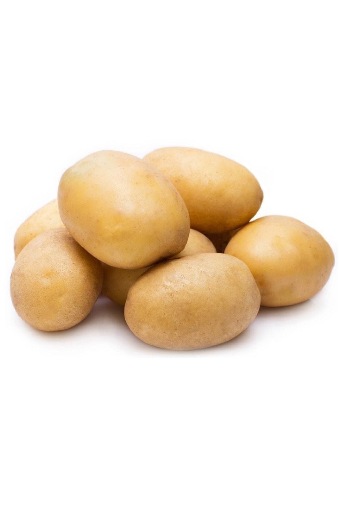 Genel Markalar Patates 1 kg
