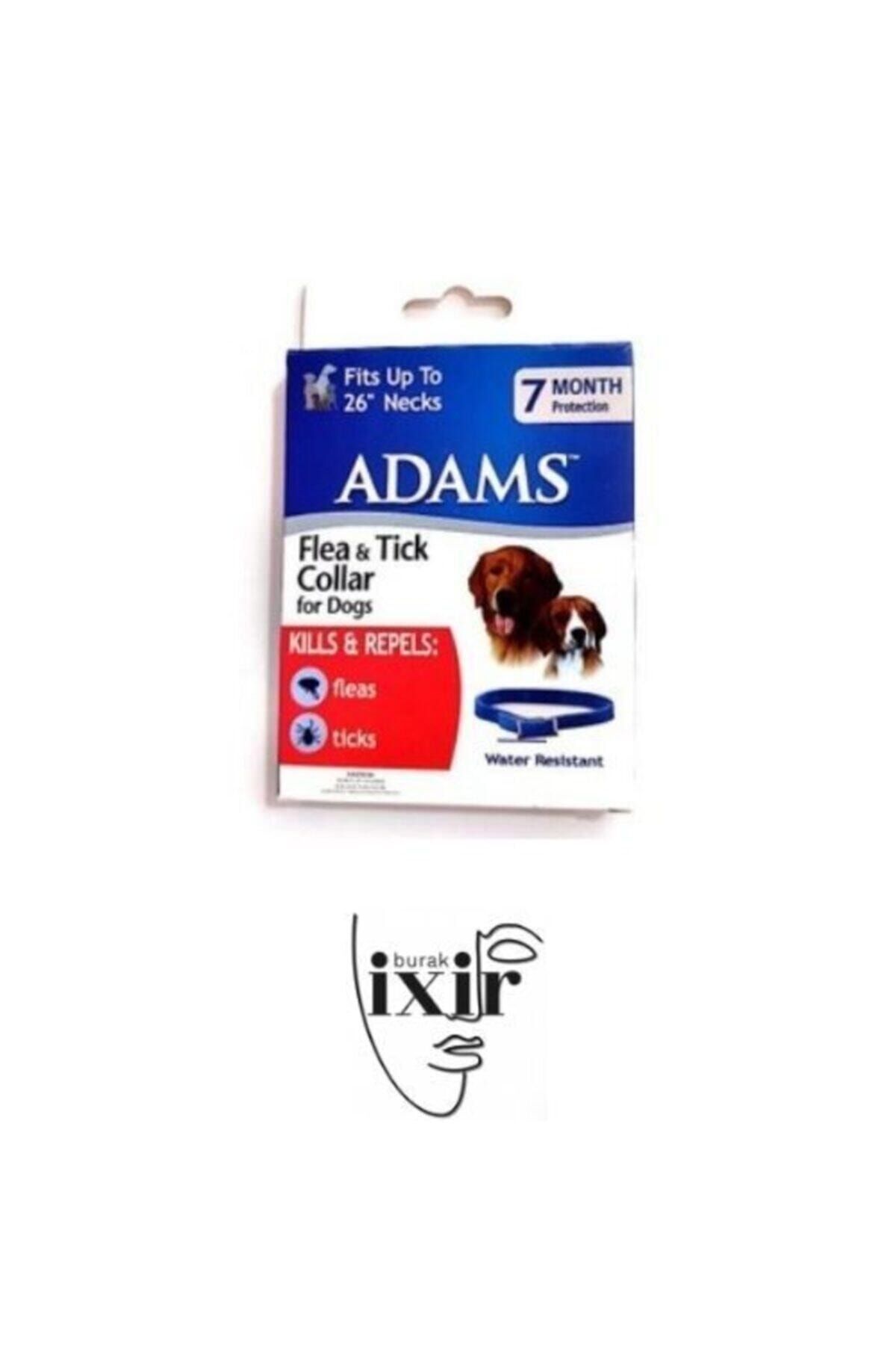 Adams Köpek Pire Ve Dış Parazit Kene Tasması 60 cm - 1 Adet