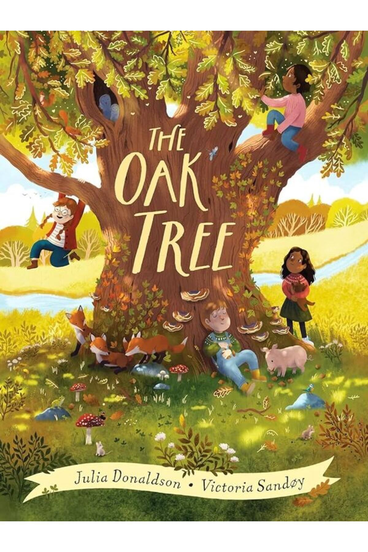 Scholastic The Oak Tree