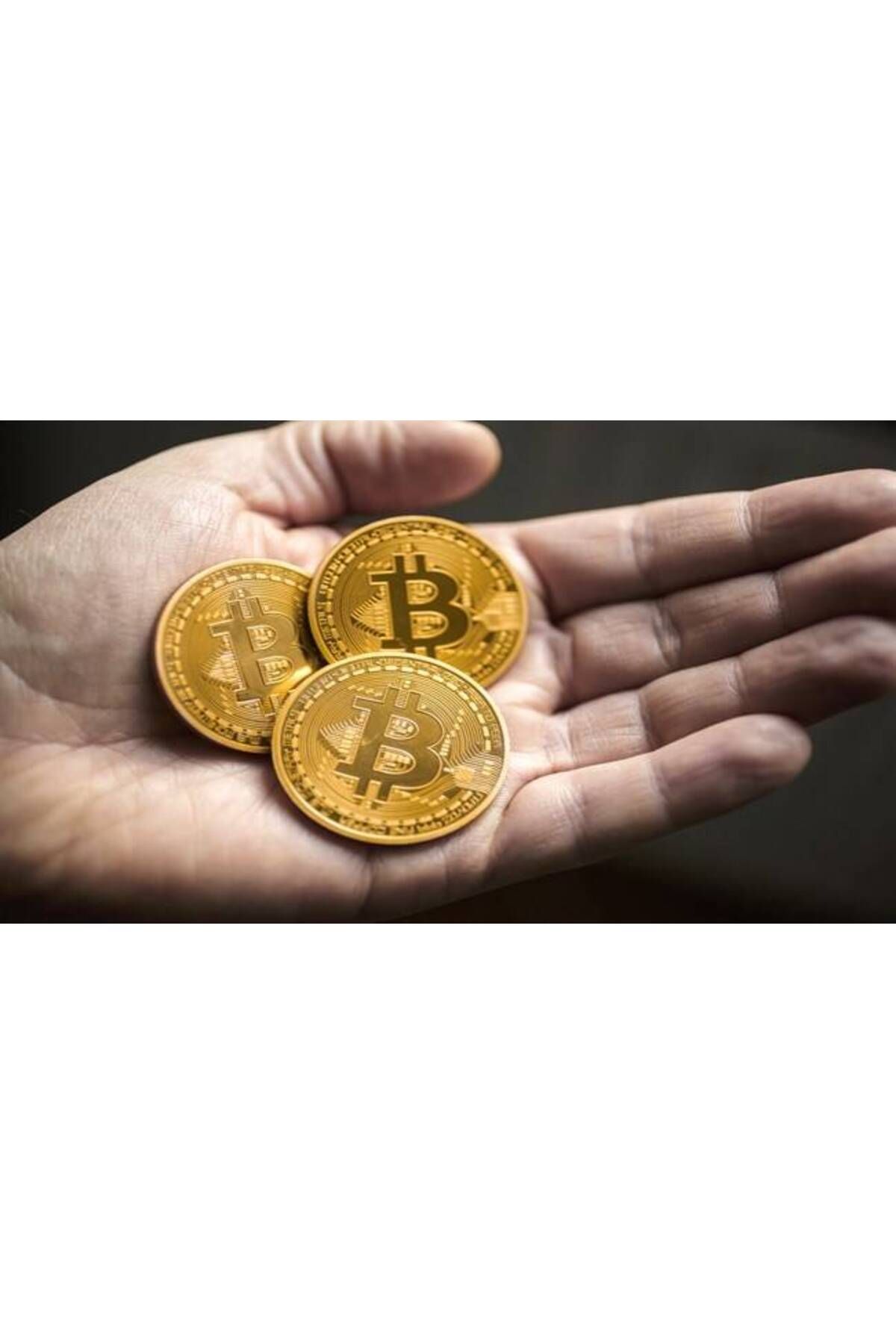 TREND Bitcoin Madeni Hediyelik Coin Sanal Para