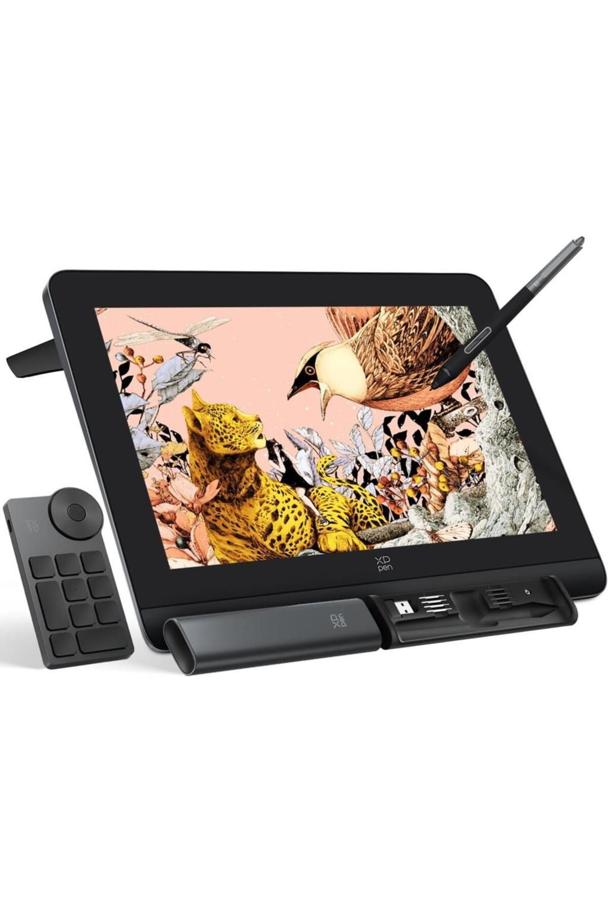 XP-Pen Artist Pro 16 Grafik Ekran Tablet 2nd Generation Siyah