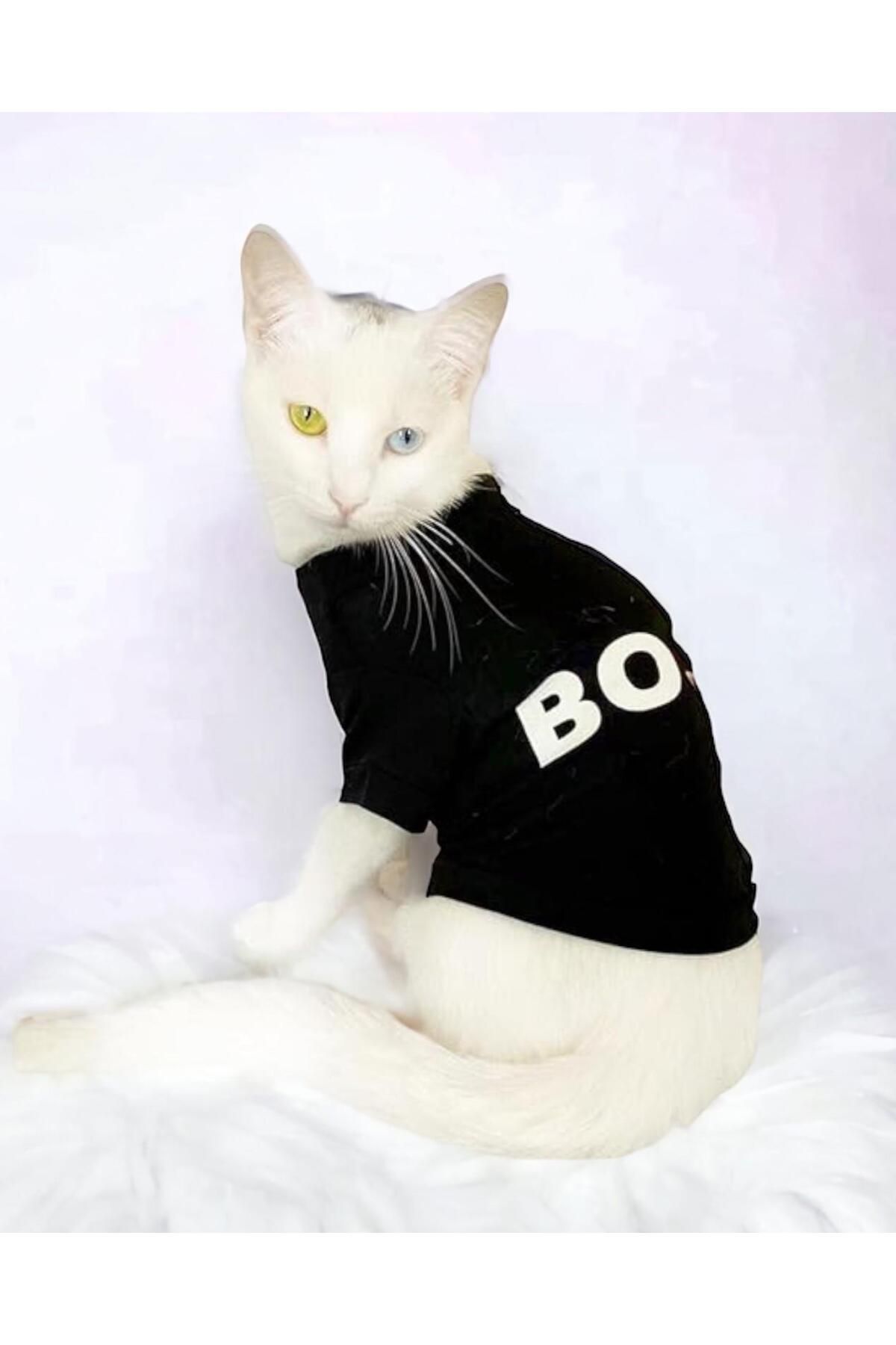Kemique Patron Boss Siyah Kedi Tişörtü Kedi Kıyafeti Kedi Elbisesi