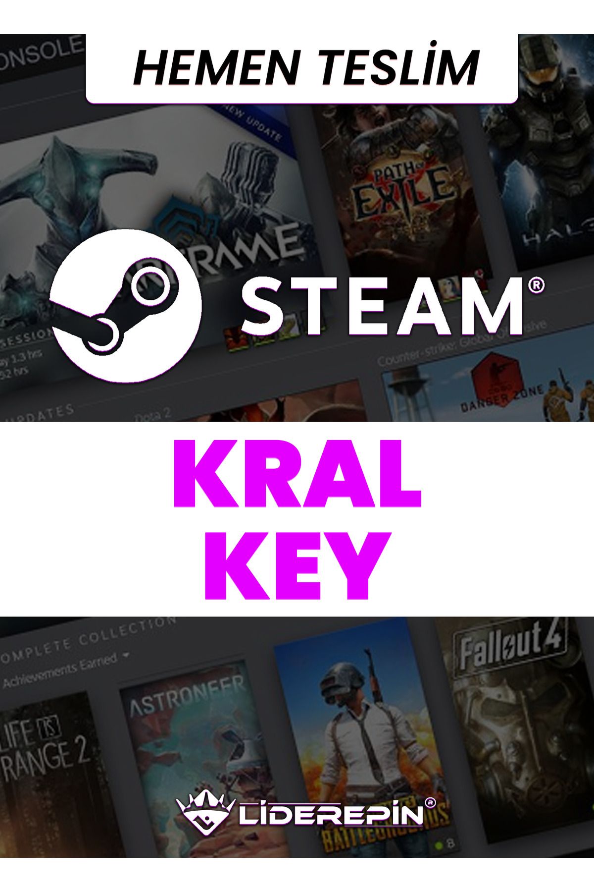 LİDER EPİN Steam Random (K.R.A.L) Key