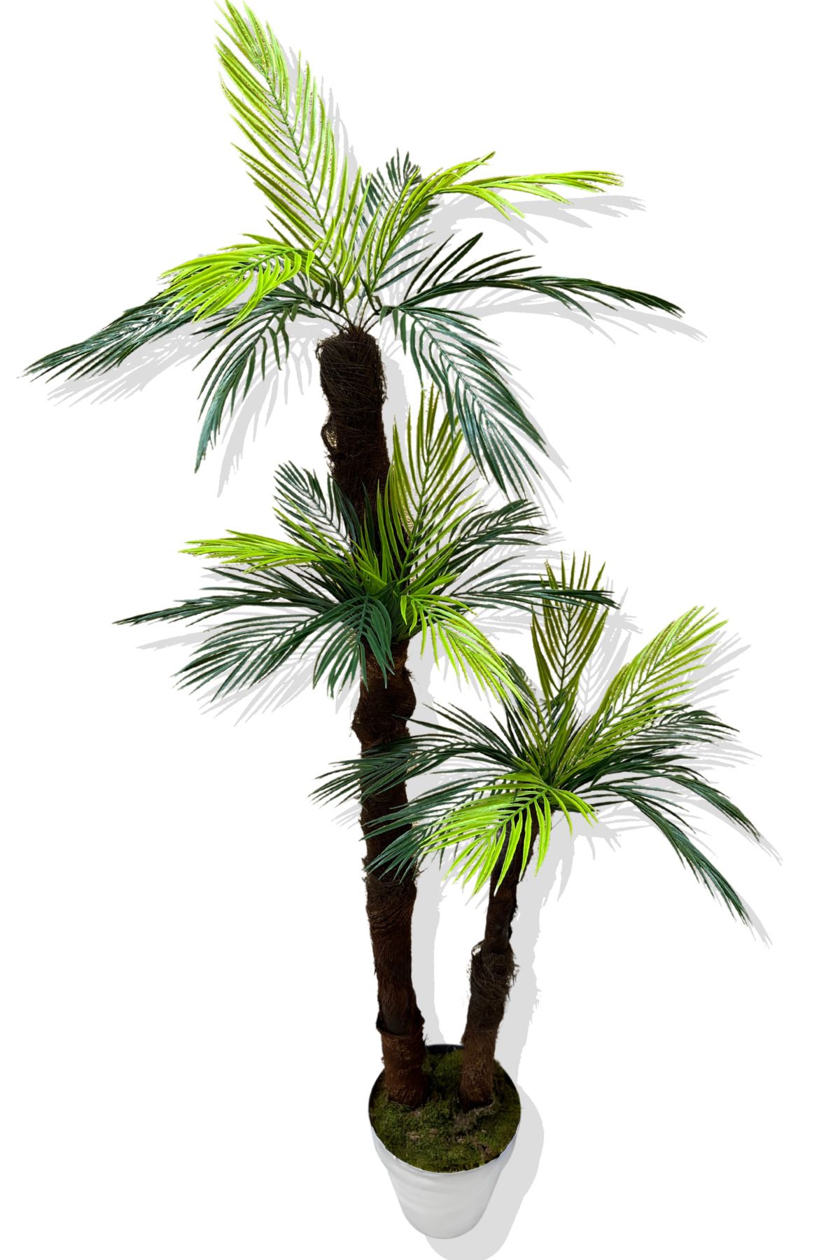 Cihan Çiçekçilik Yapay Ağaç Palmiye 2 Gövde 27 Yaprak 165 Cm