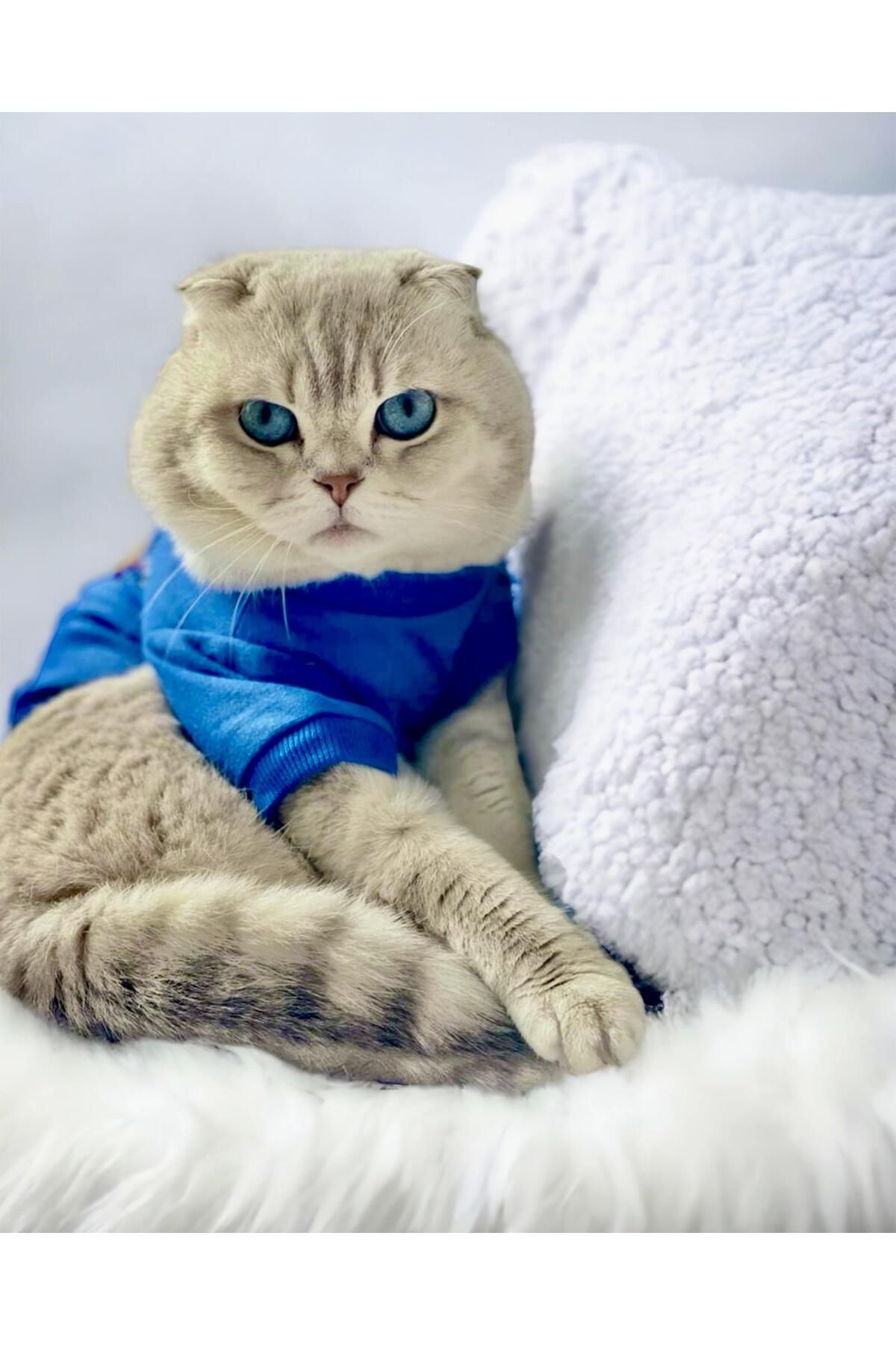 Kemique Mavi Superman Kedi Tişörtü Kedi Kıyafeti Kedi Elbisesi