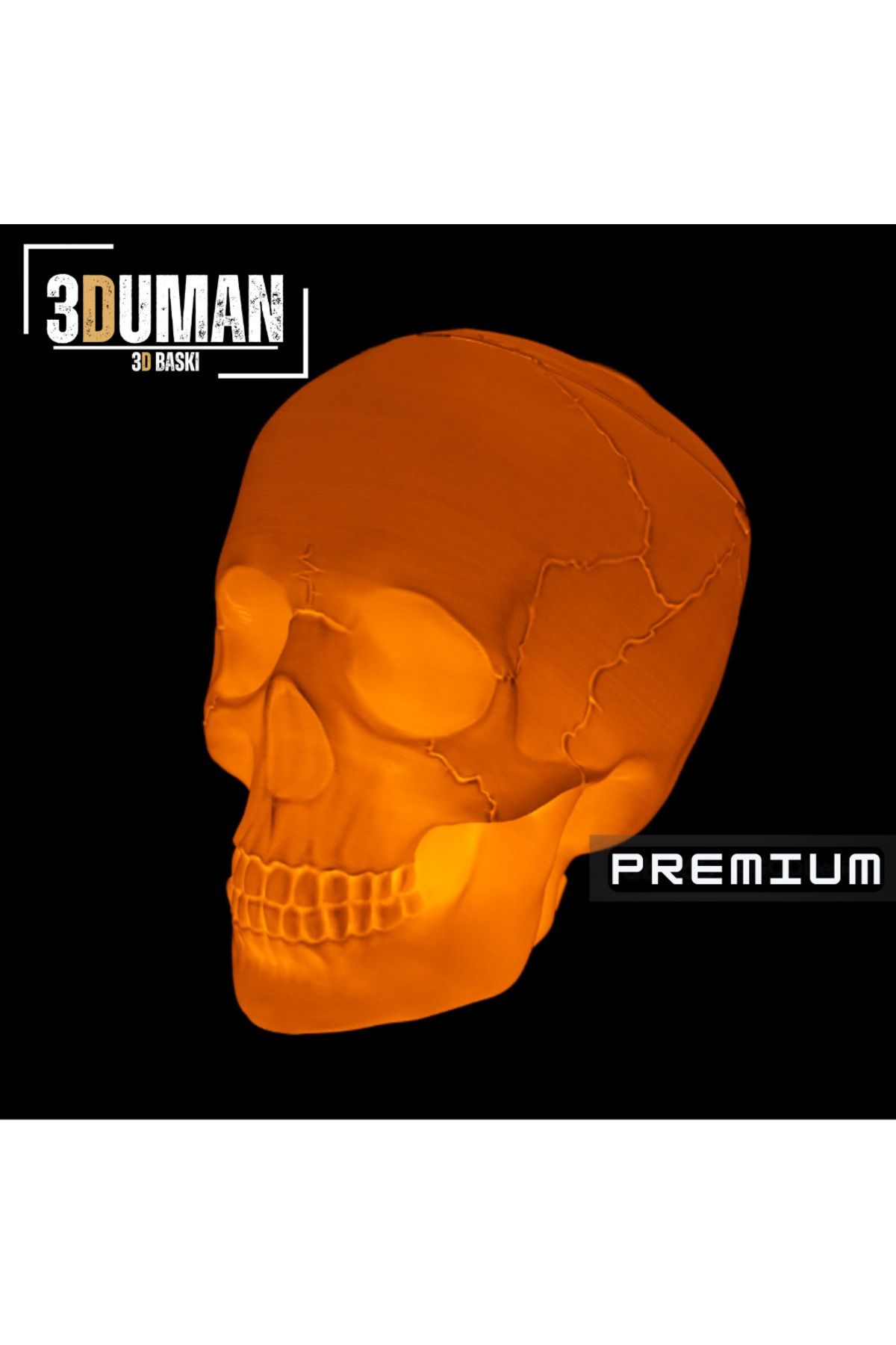 3Duman Premium Insan Kafatası Figürü ( Led Ile Aydınlatılabilir ) - Beyaz - 15cm