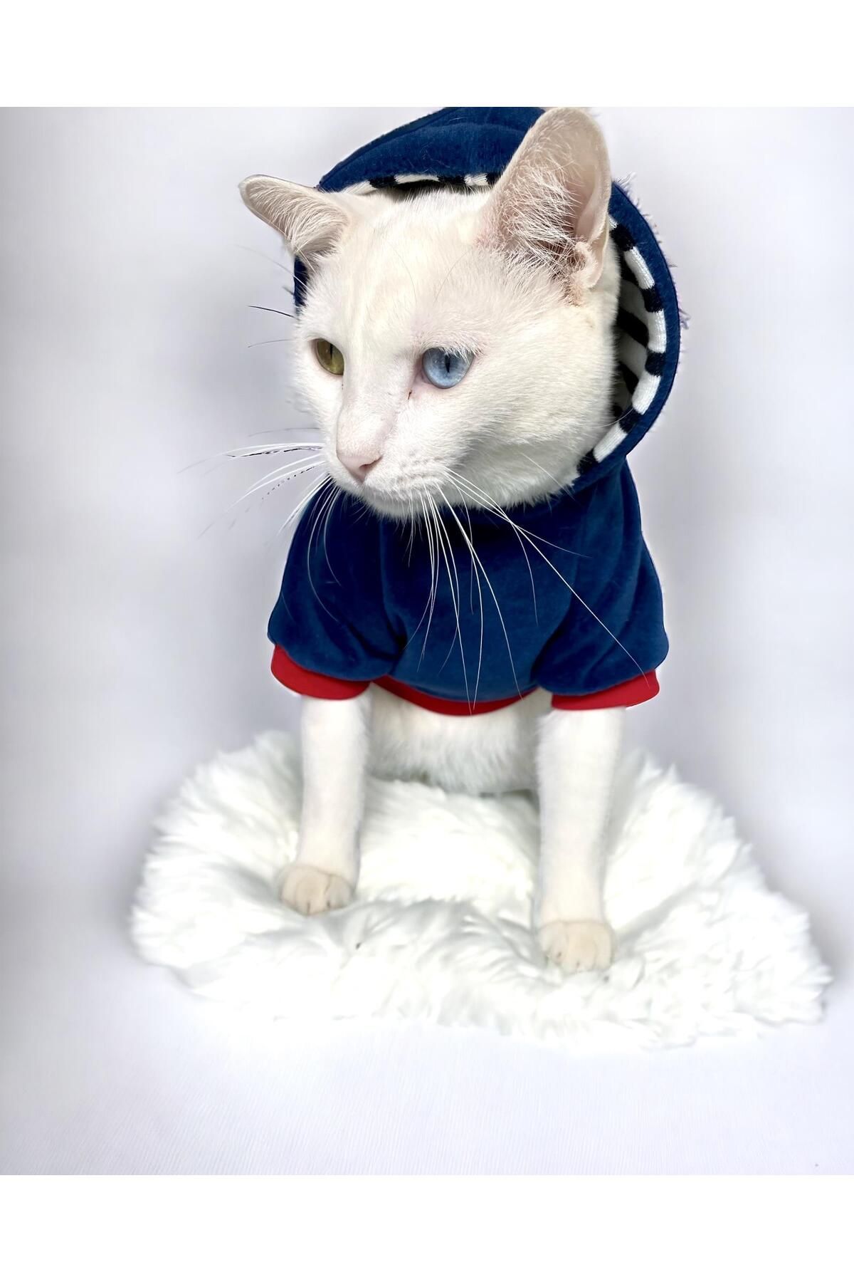 Kemique Cat Neo Tommie Kedi Sweatshirt (2X_Large 6,5- 9 Kg )