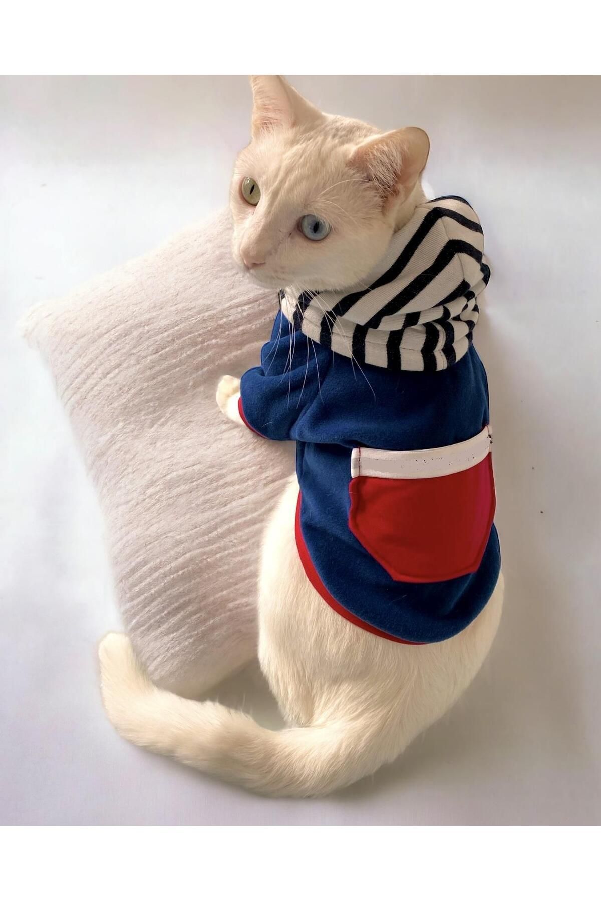 Kemique Cat Neo Tommie Kedi Sweatshirt (Small 1 - 2 Kg )