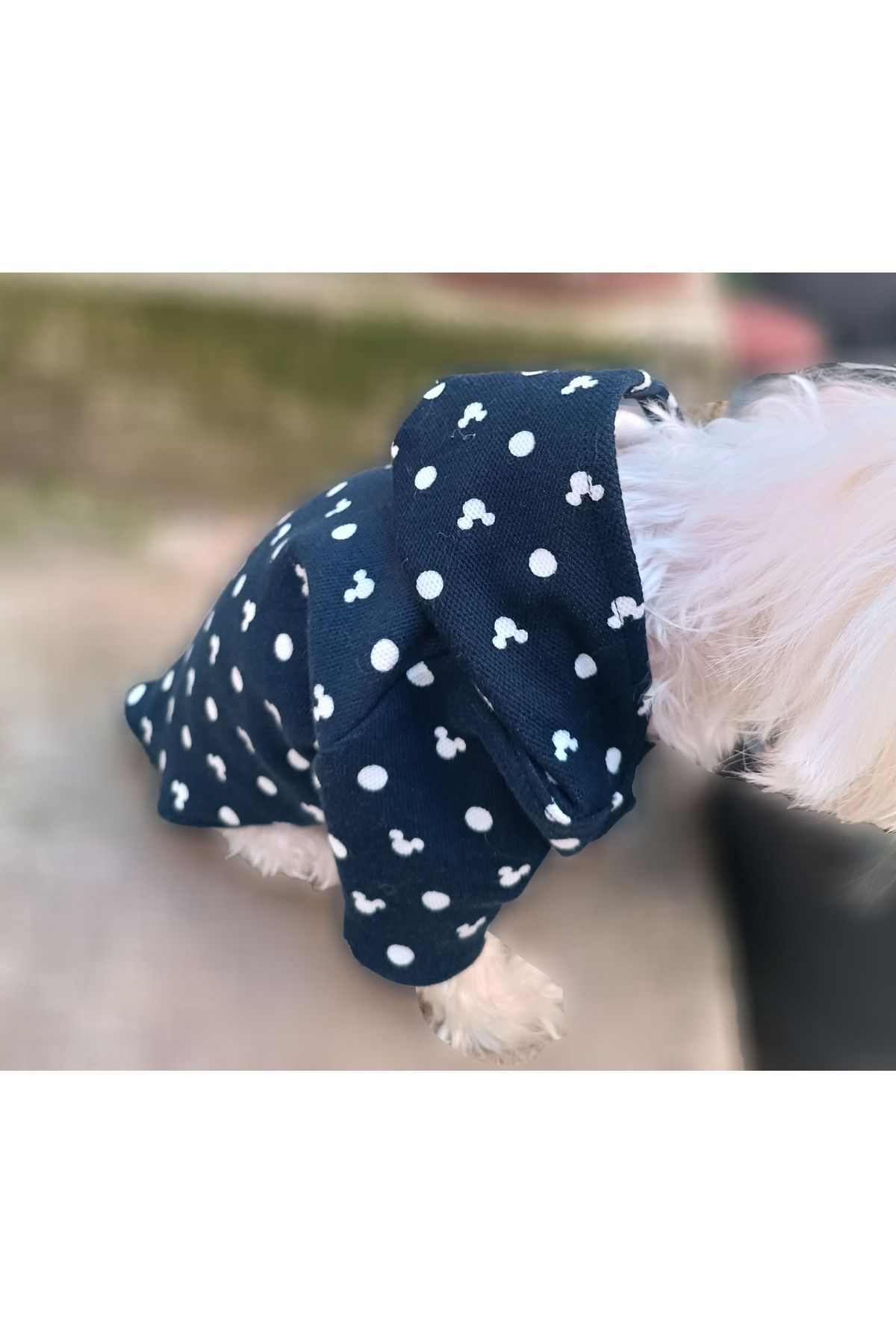 PETITE Lacivert kalpli Köpek Ve Kedi Kıyafeti & Elbisesi Kapüşonlu Sweatshirt Hoodie