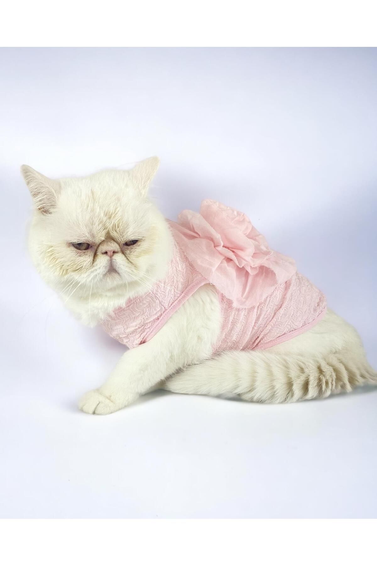 Kemique Rosie Rose Tişört Kedi Kıyafeti Kedi Elbisesi Kedi Kostümü