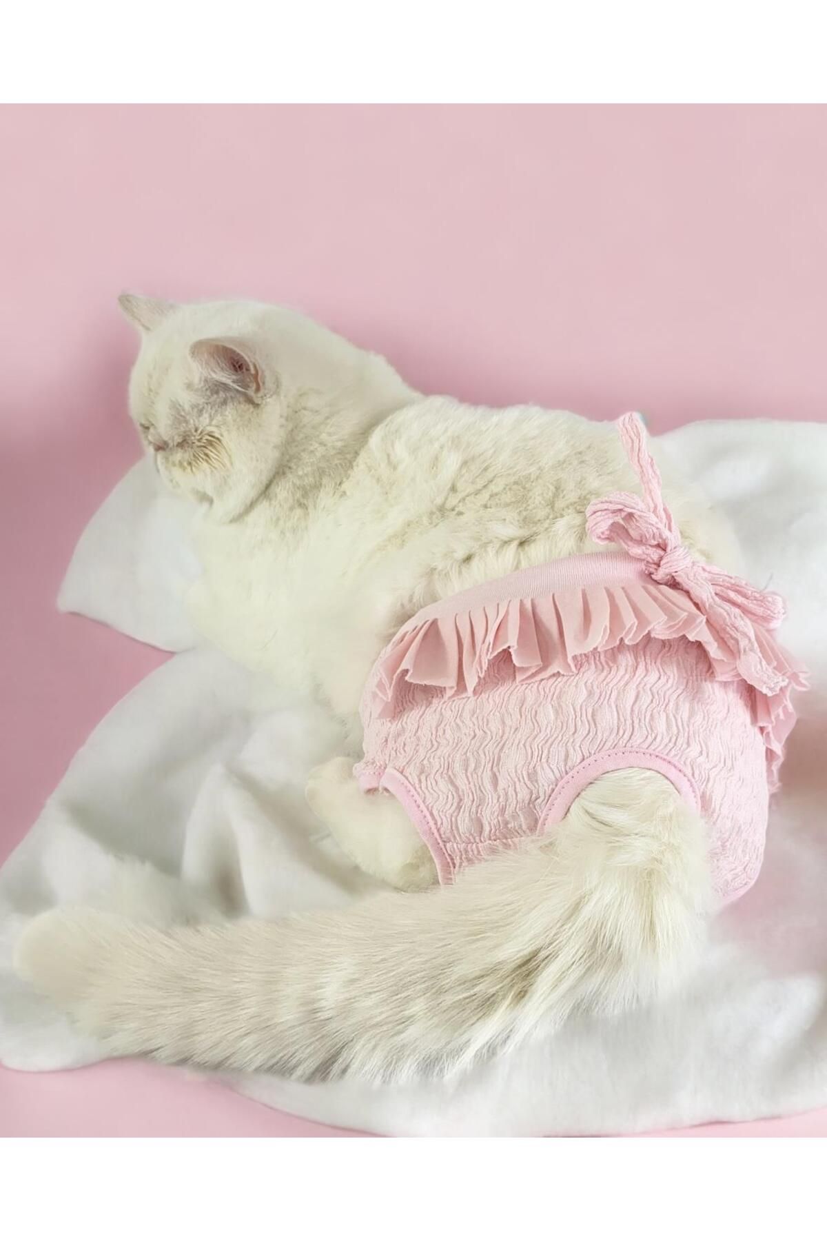 Kemique Rosie Rose Kemique's Secret Kedi İç Çamaşırı Regl Külot Don
