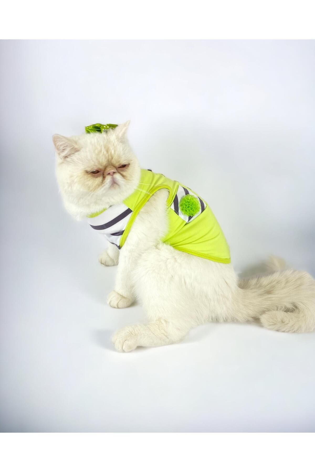 Kemique Lime Fuzz Atlet Kedi Kıyafeti Kedi Elbisesi
