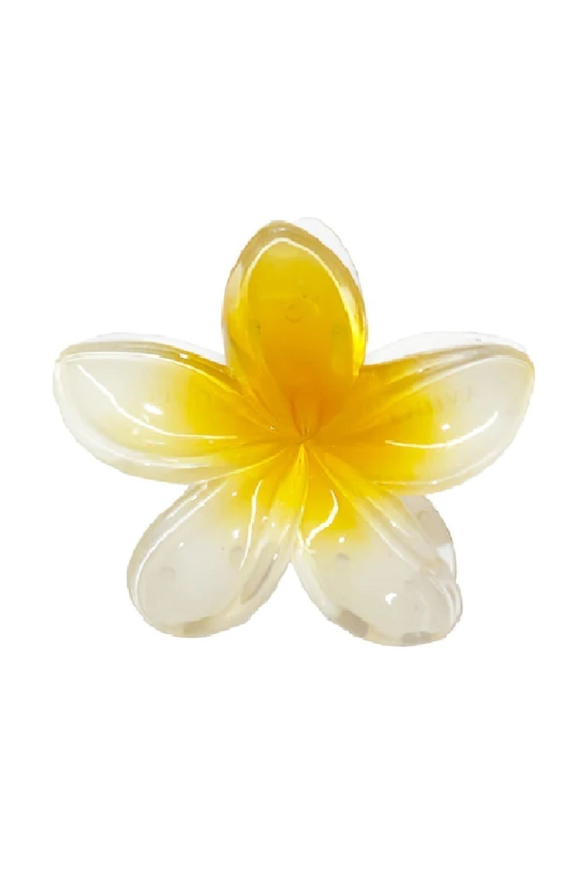 Roberta Lorenz Sarı Lotus Mandal Toka | Çiçek Toka | Aloha | Plumeria Kreasyonu 4 Al 3 Öde