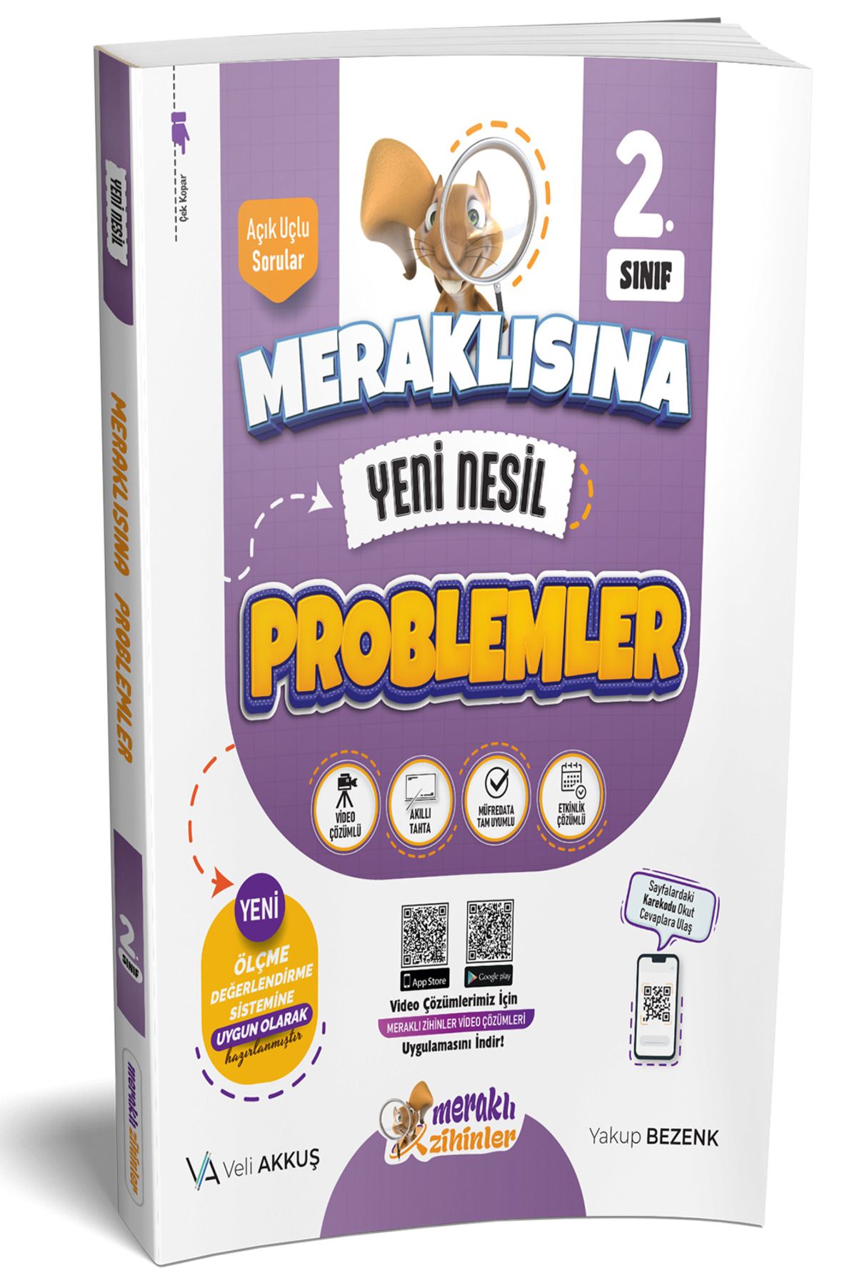 Kollektif Meraklı Zihinler 2. Sınıf Problemler