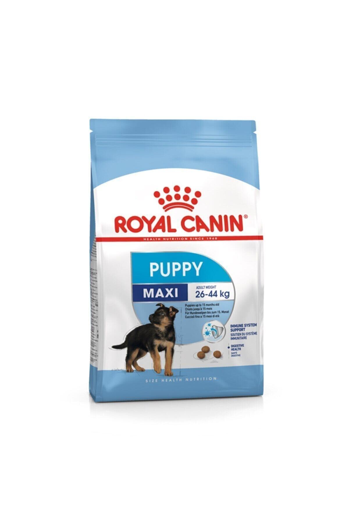 bedava yavru köpek