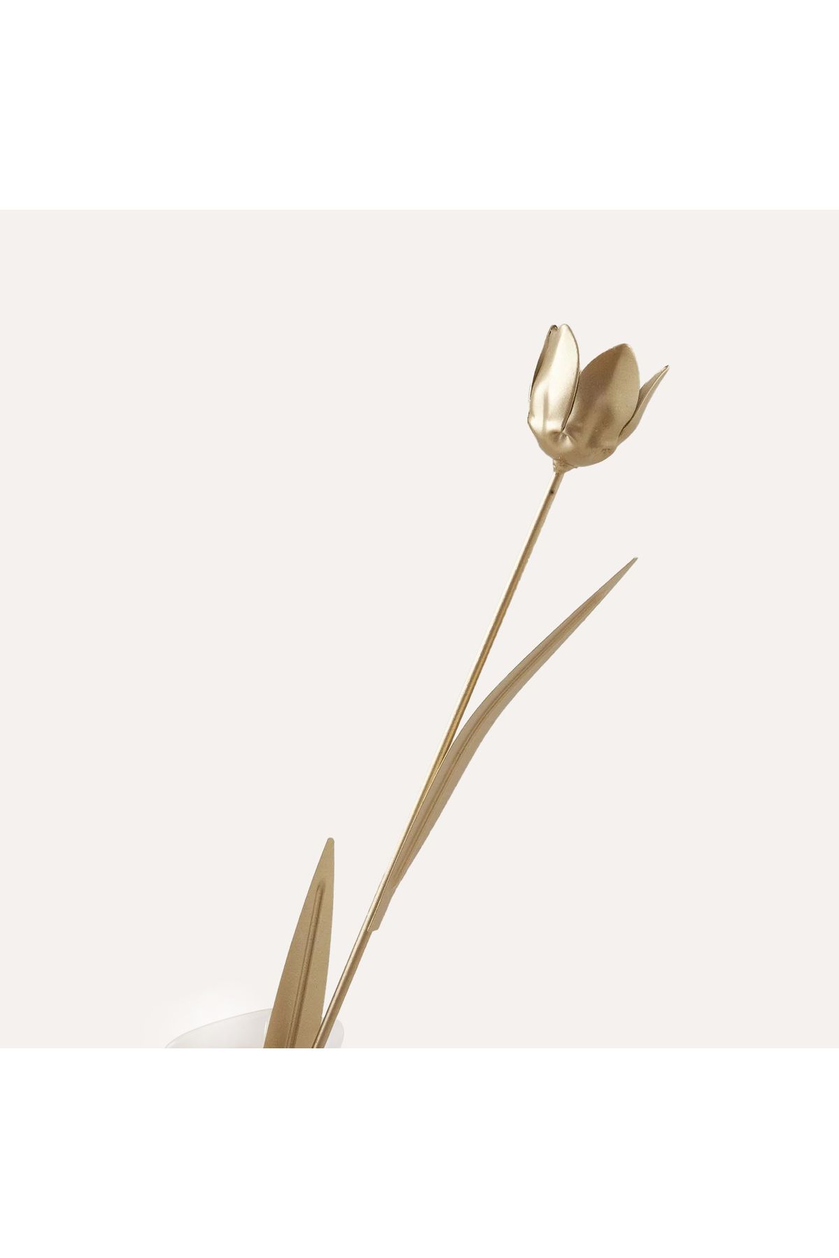 Chakra Tulipo Dal Dekor M Altın