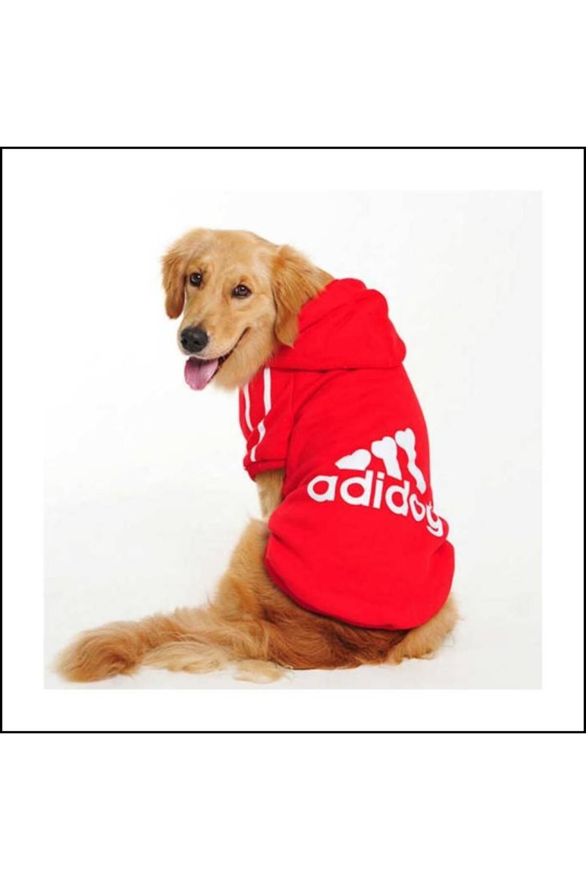 Kemique Kırmızı Kapşonlu Adidog Sweatshirt Orta Ve Büyük Köpekler Için Kırmızı