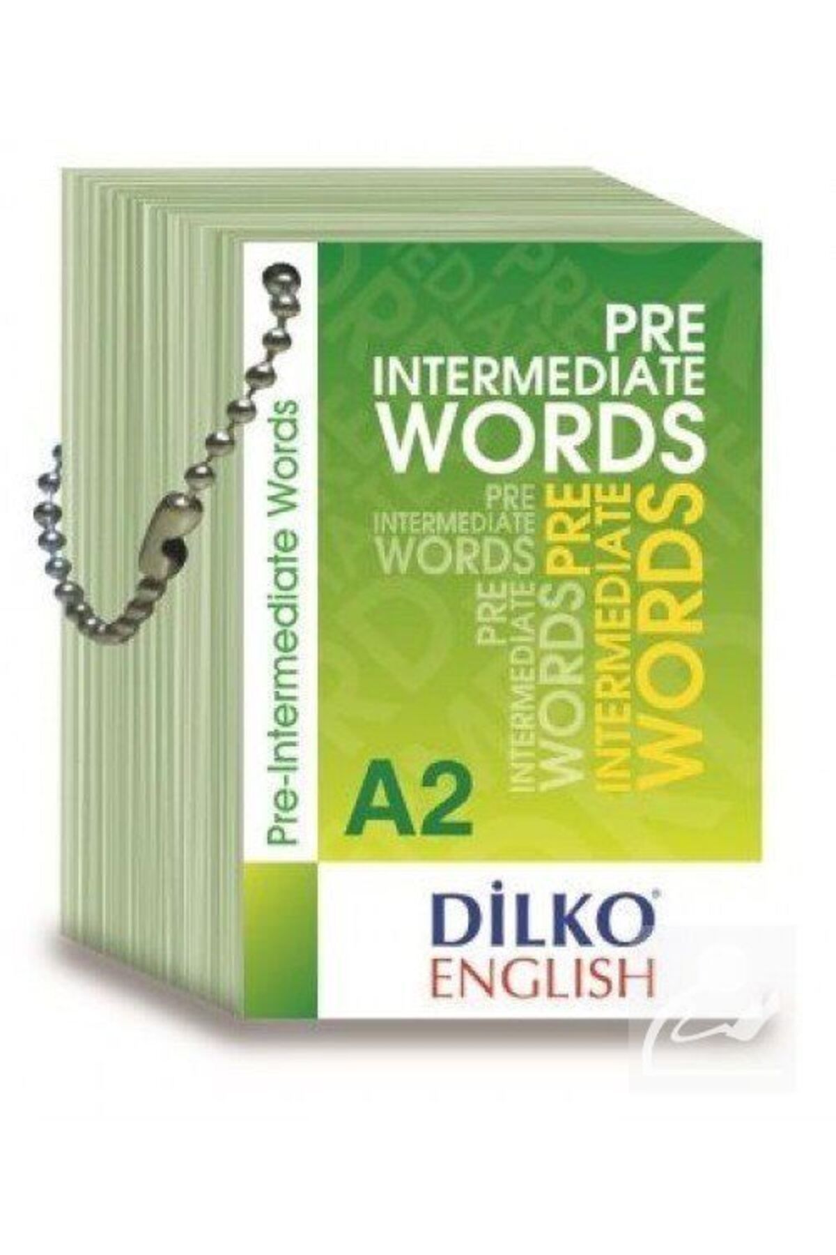 Dilko Yayıncılık Pre Intermediate Words A2 Kelime Kartı