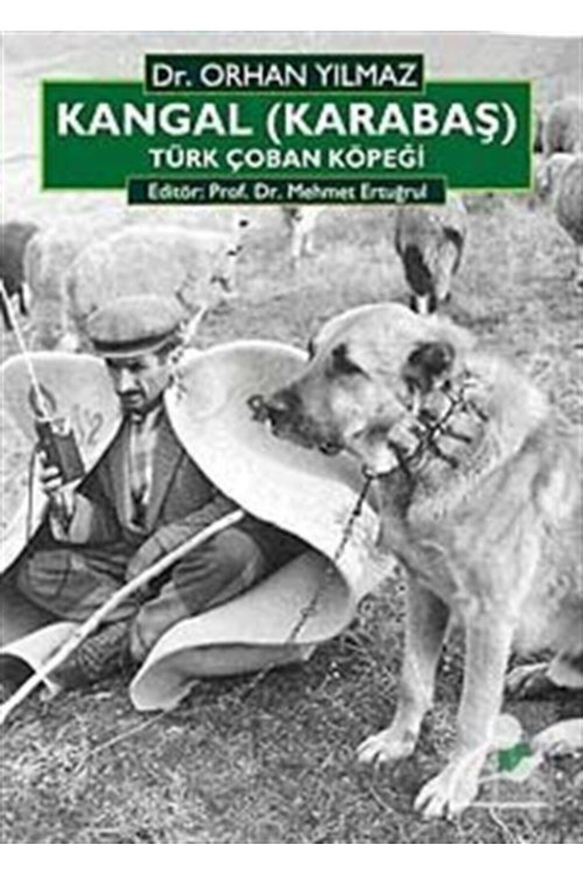 Bilge Kültür Sanat Kangal (KARABAŞ) Türk Çoban Köpeği