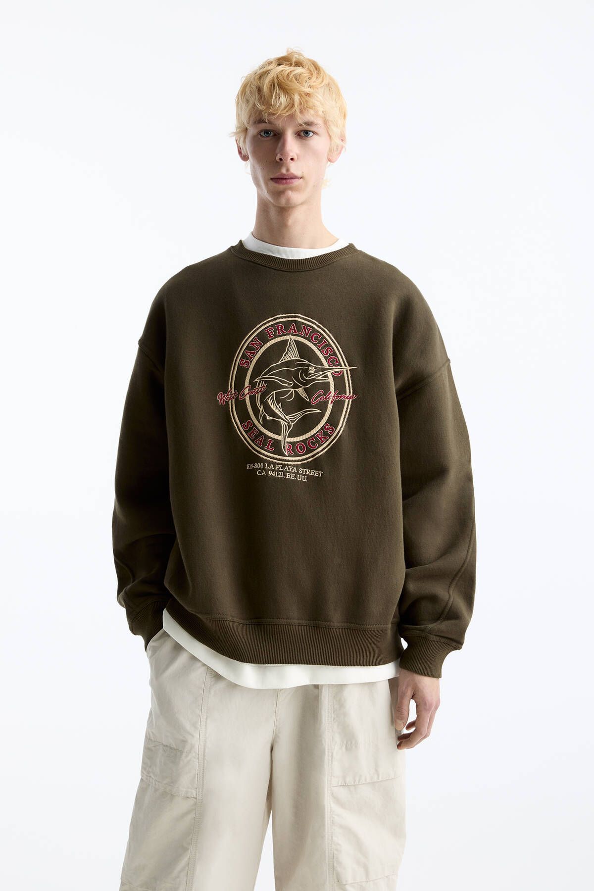 Pull & Bear San Francisco Seal Rocks sweatshirt