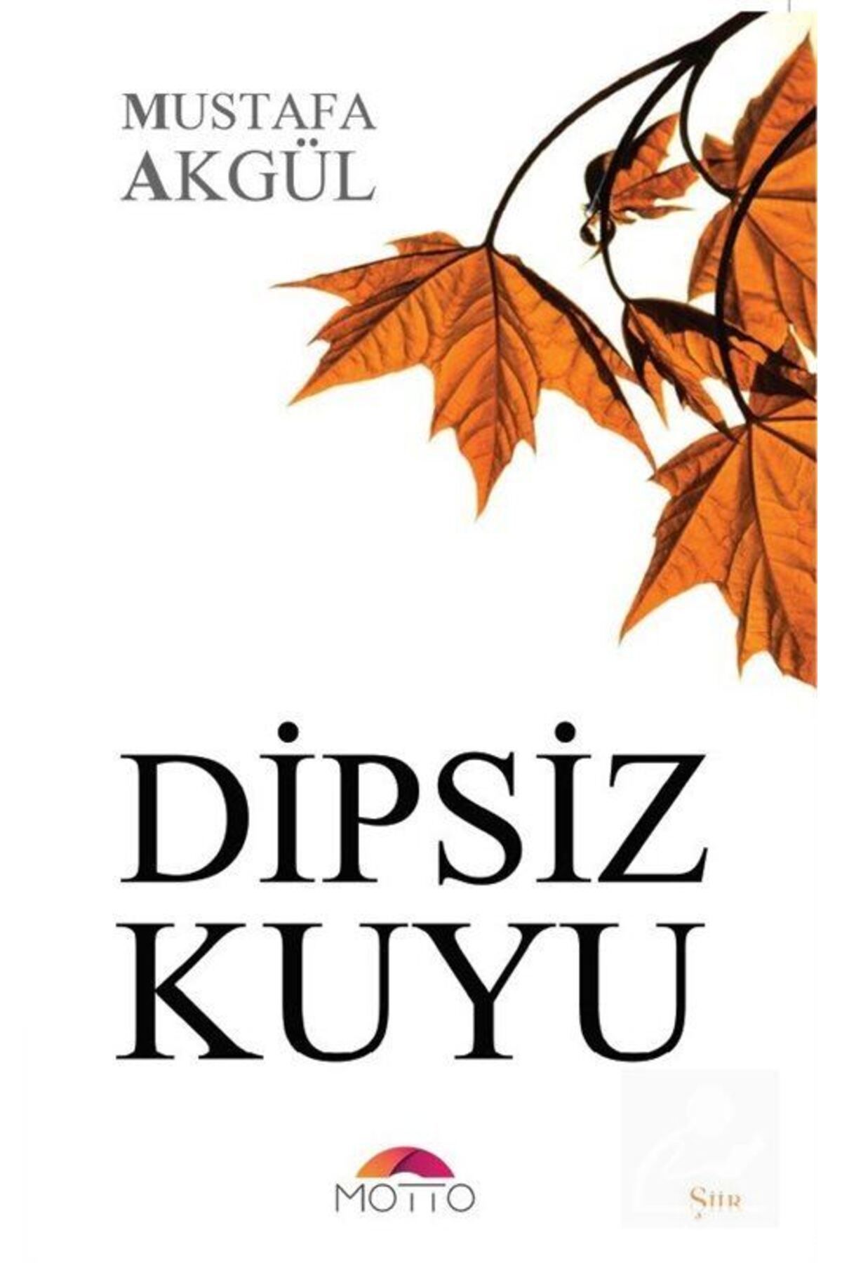 Motto Yayınları Dipsiz Kuyu