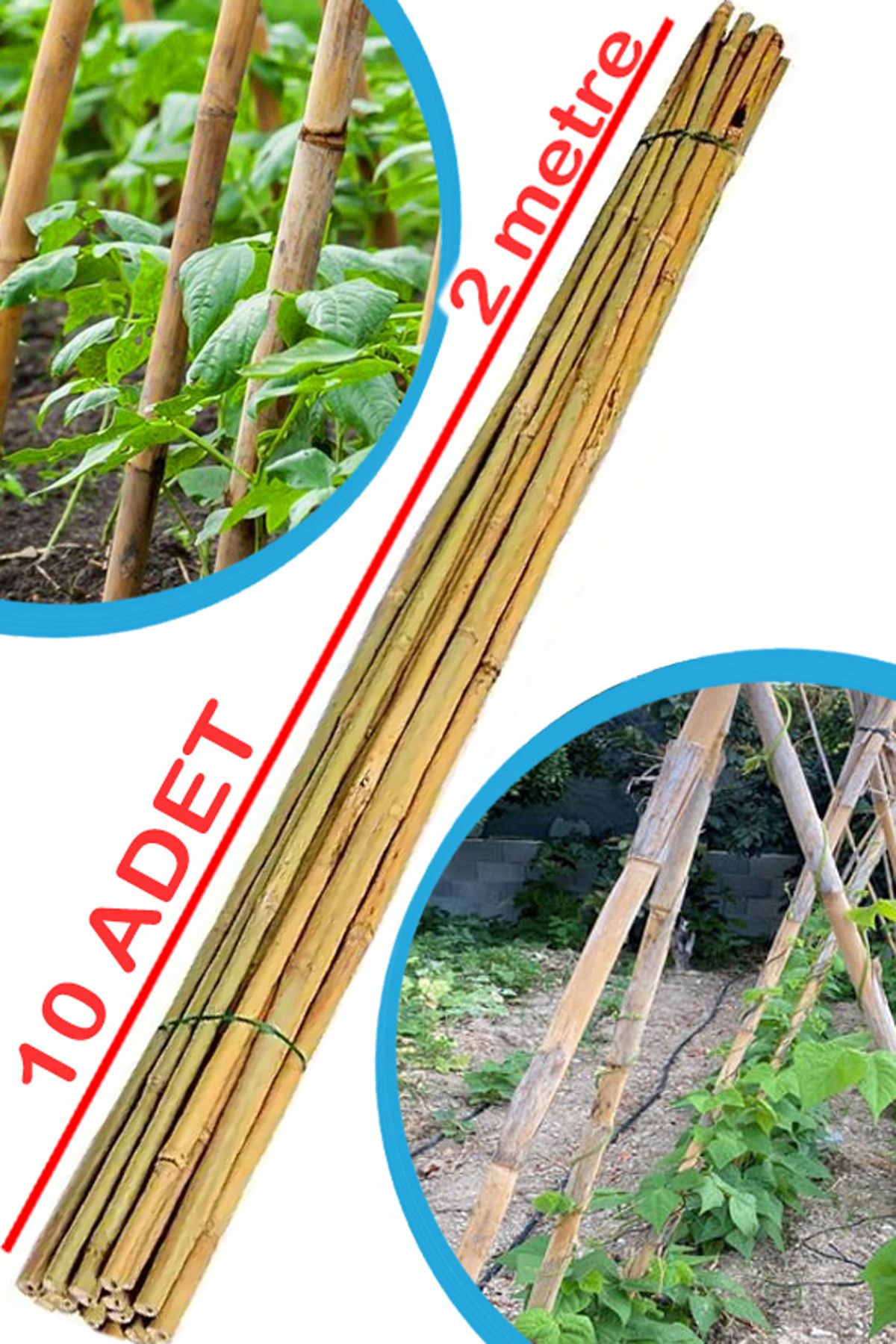 Nurnivus Doğal Kargı Bambu Bitki Destek Çubuğu Fidan Salatalık Sarmaşık Çiçek Destek Çubuğu 10 Adet 200 cm