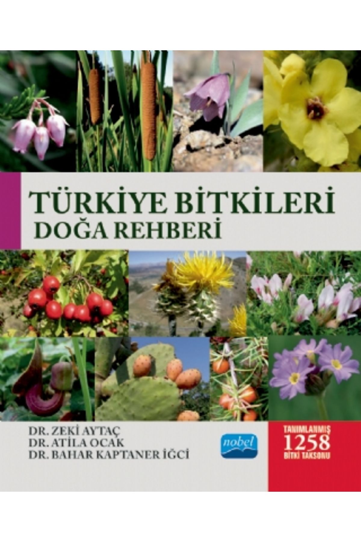 Nobel Akademik Yayıncılık Türkiye Bitkileri Doğa Rehberi