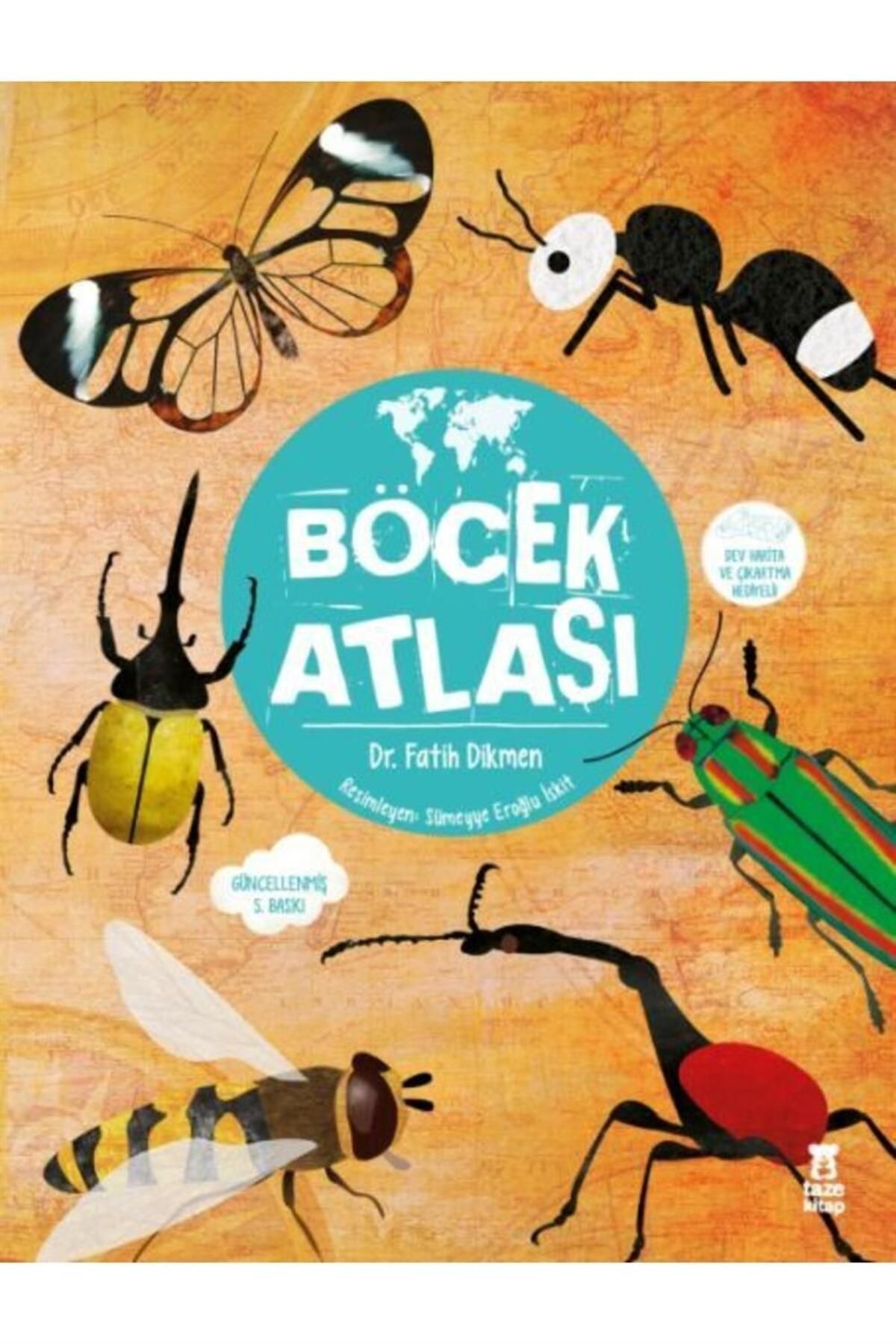 Taze Kitap Böcek Atlası
