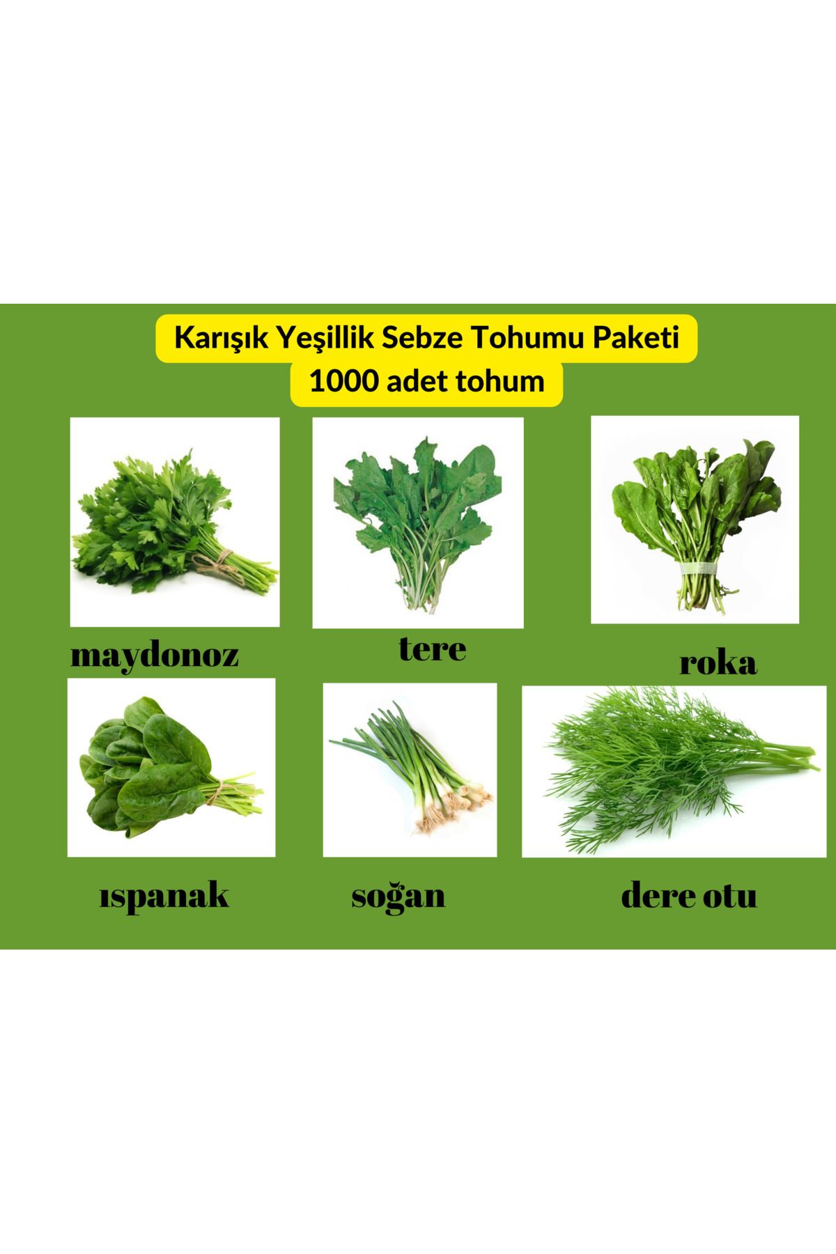 Bade Shop Yeşillik Sebze Tohum Paketi - 6 Çeşit Tohum Maydanoz, Tere, Roka, Dereotu ,soğan,ıspanak 1000 Adet