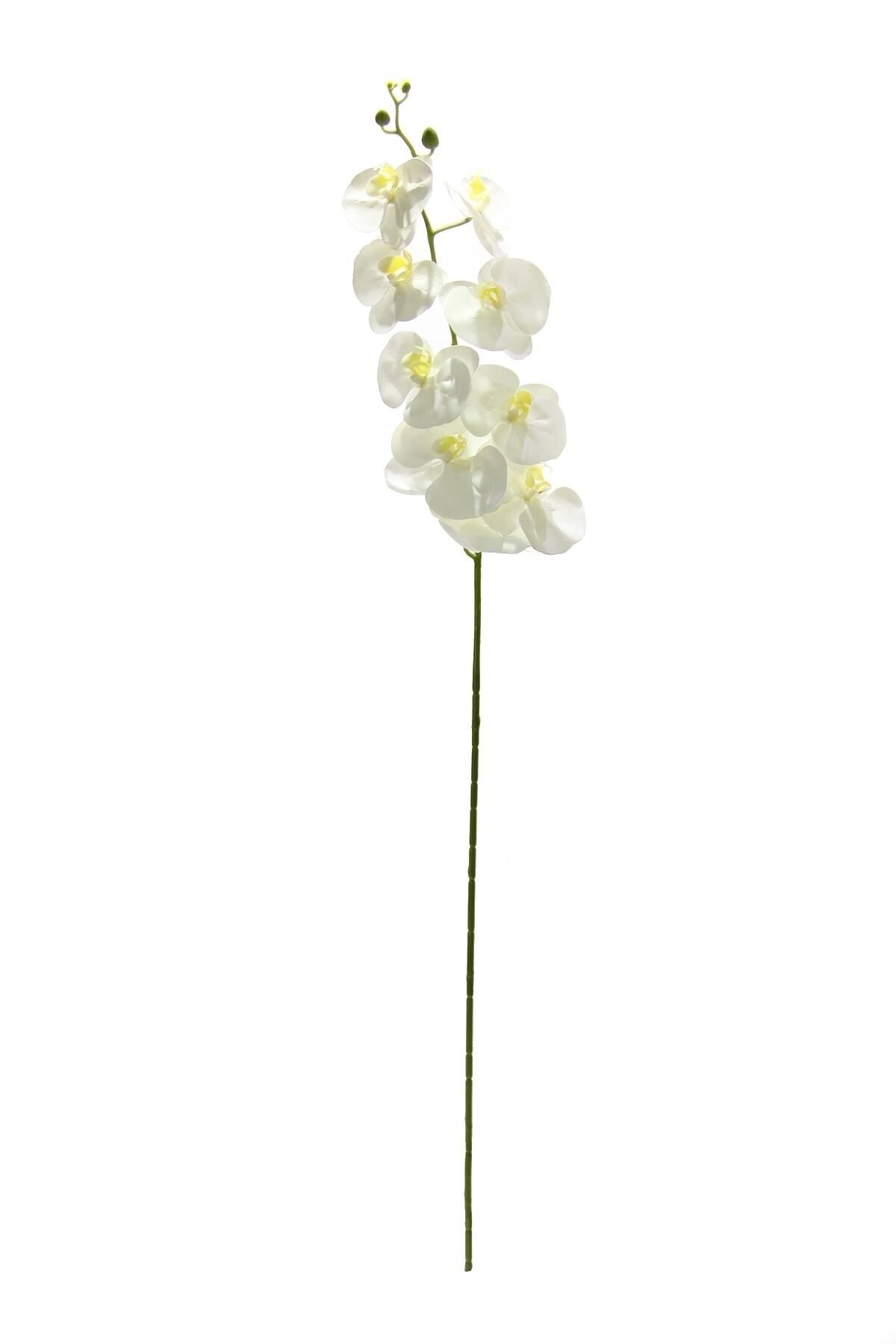 Dekorsende Yapay Orkide Dalı Beyaz 100 Cm