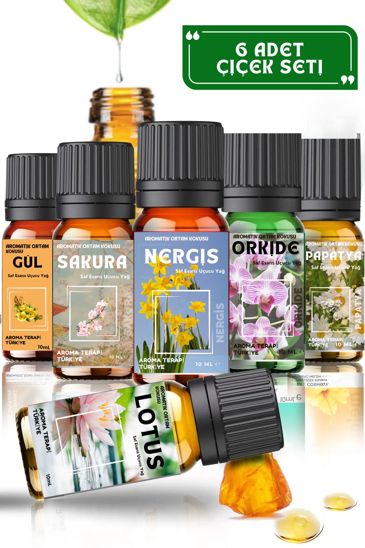 Aroma Terapi Lab Şifalı Çiçek Esansları Seti 6 Adet - Saf Esansiyel Yağ - Oda Ve Ortam Kokusu - Aromatik Uçucu Yağ