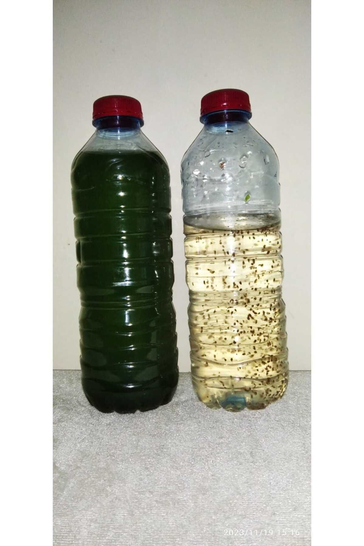 Petshop KOÇLAR Su piresi Balık yemi protein kaynagı. 0,5lt su piresi + 0,5lt yeşil su alg.