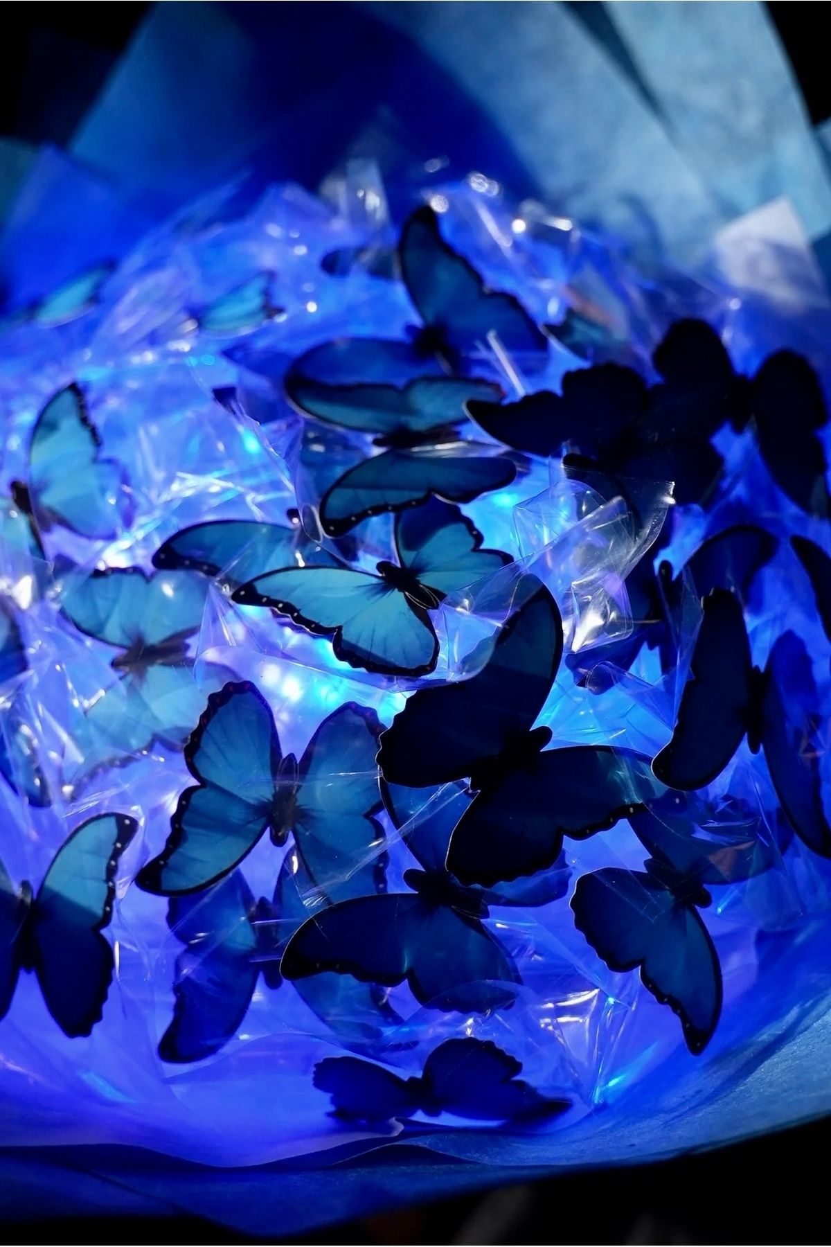BuketBurada Led Işıklı Mavi Kelebek Buket Sevgiliye Hediye Doğum Günü
