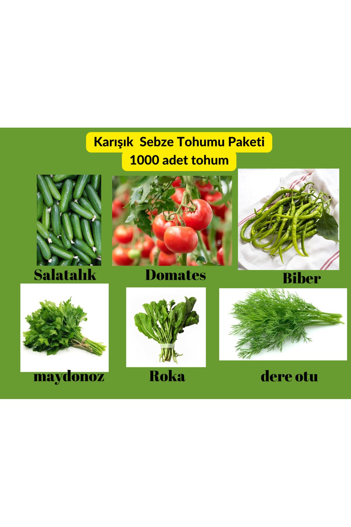 Bade Shop Sebze Yeşillik Tohum Paketi - 6 Çeşit Domates, Salatalık, Biber ,Roka, Dereotu ,Maydonoz  1000 Adet