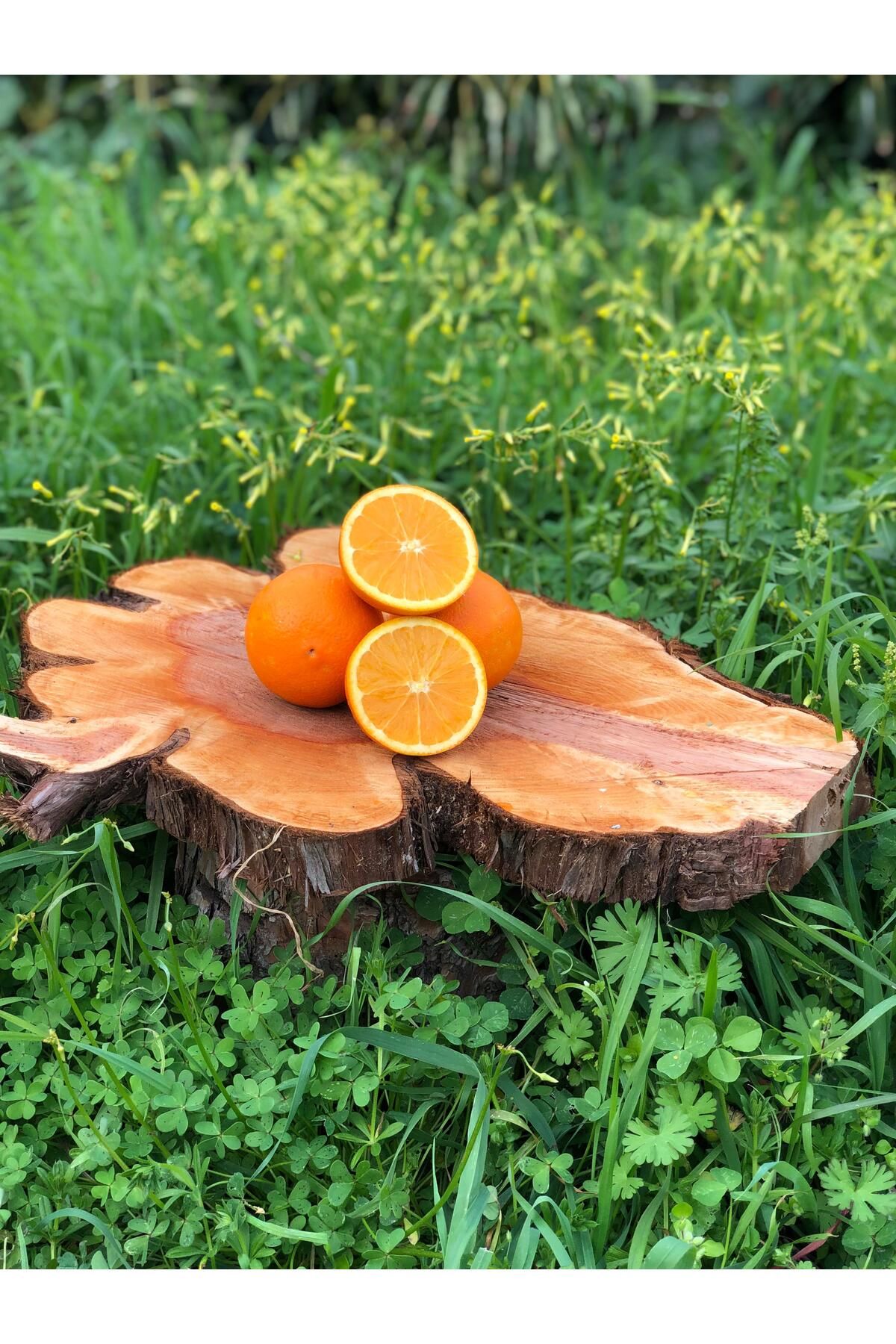 ARI ORGANİK Portakal 1kg