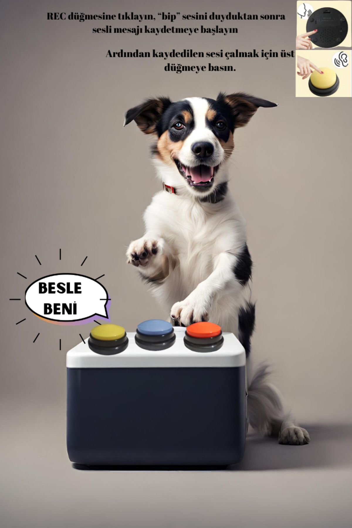 Annadue Kaydedilebilir Köpek Konuşma Butonları 3lü Set , Köpek Eğitim Butonu,mavi Sarı Turuncu