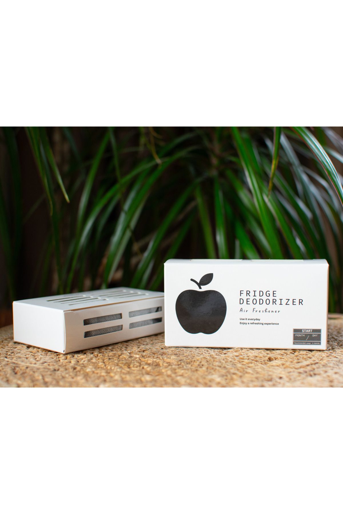 CrossBorder Decor Apple Hava Temizleyici, Buzdolabı Doğal Koku Giderici