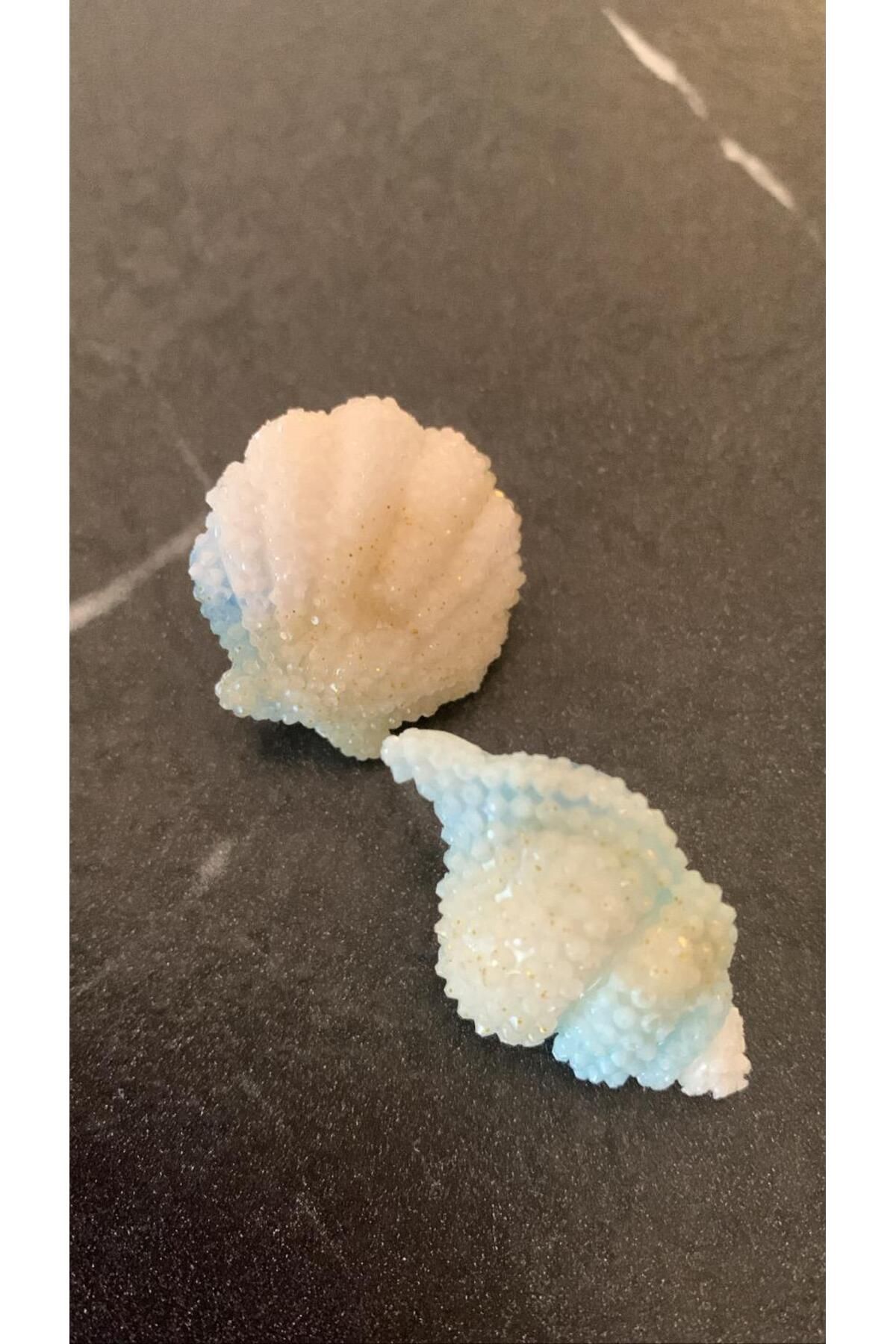 MISS GOLDEN Açık Mavi Beyaz Bej Tonlu Renkli Deniz Kabuklu İstiridye Küpe Handmade El Yapımı Epoksi Hediyelik
