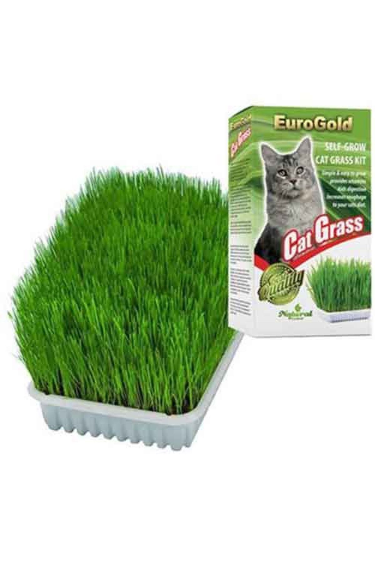 Lisinya EuroGold Cat Grass Kedi Çimi